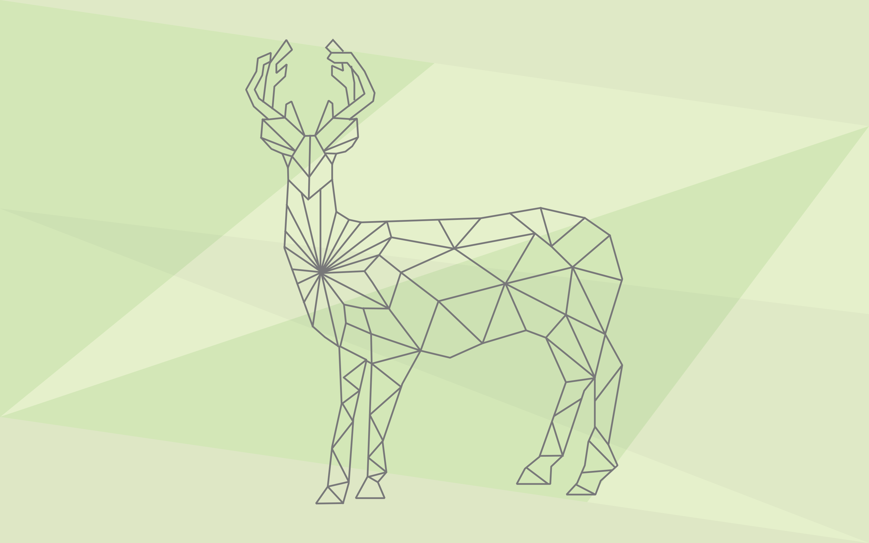 Geometric line drawing of a deer on a light green background HD Wallpaper
