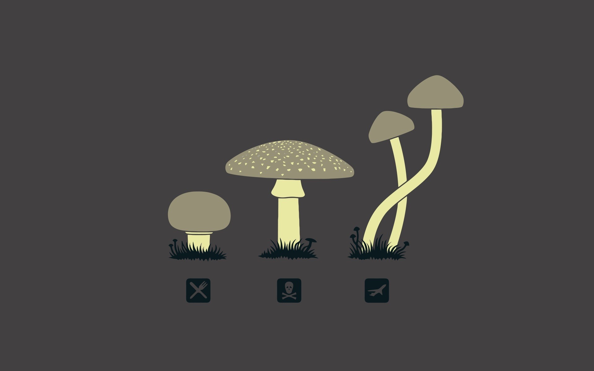 Minimalist illustration of mushrooms with icons HD Wallpaper