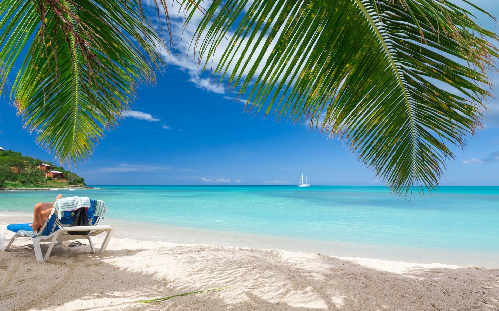 Tropical beach with palm trees and a sailboat HD Wallpaper