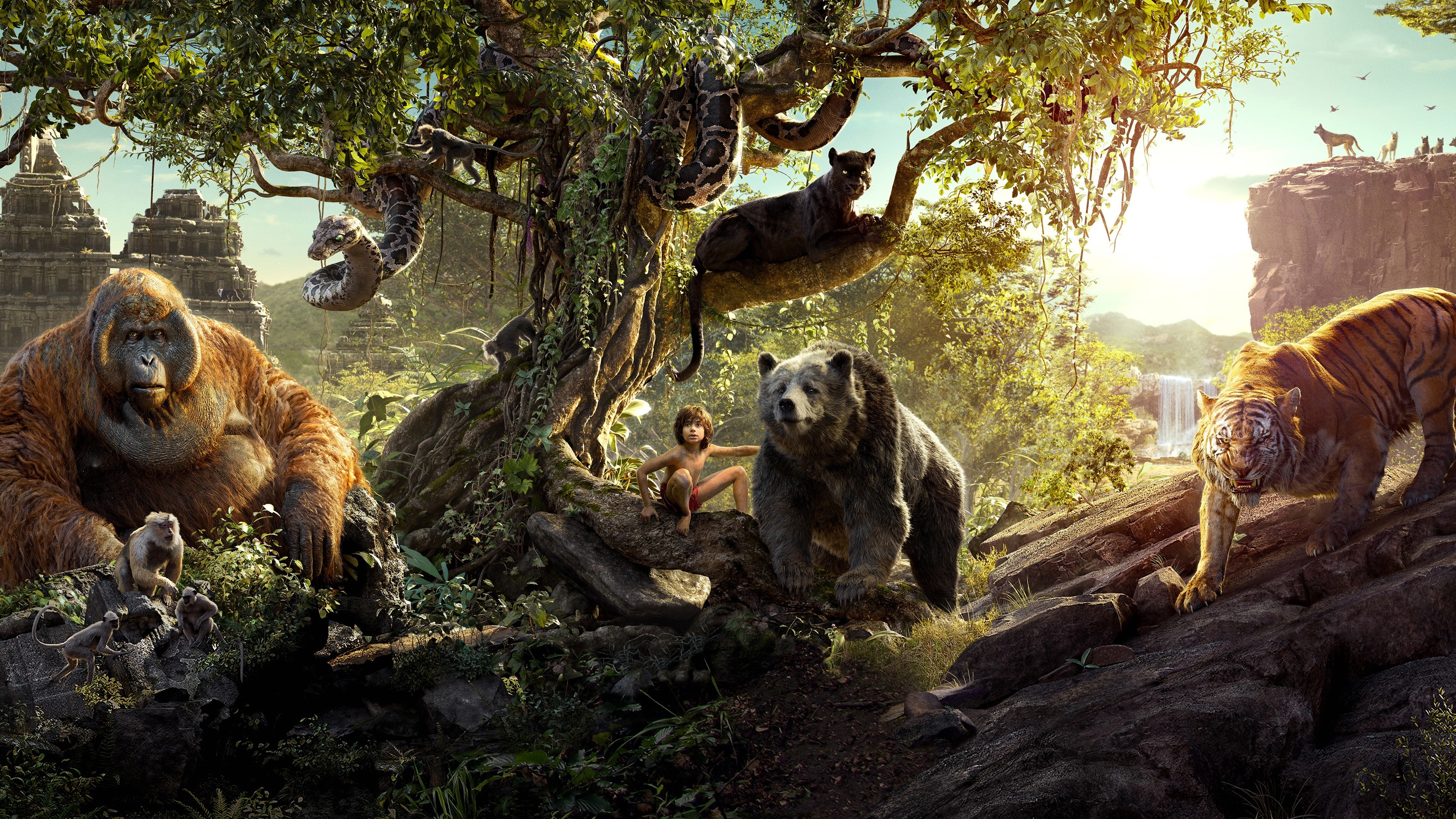 The Jungle Book: Mowgli, Bagheera, Baloo, Kaa, and Shere Khan HD Wallpaper
