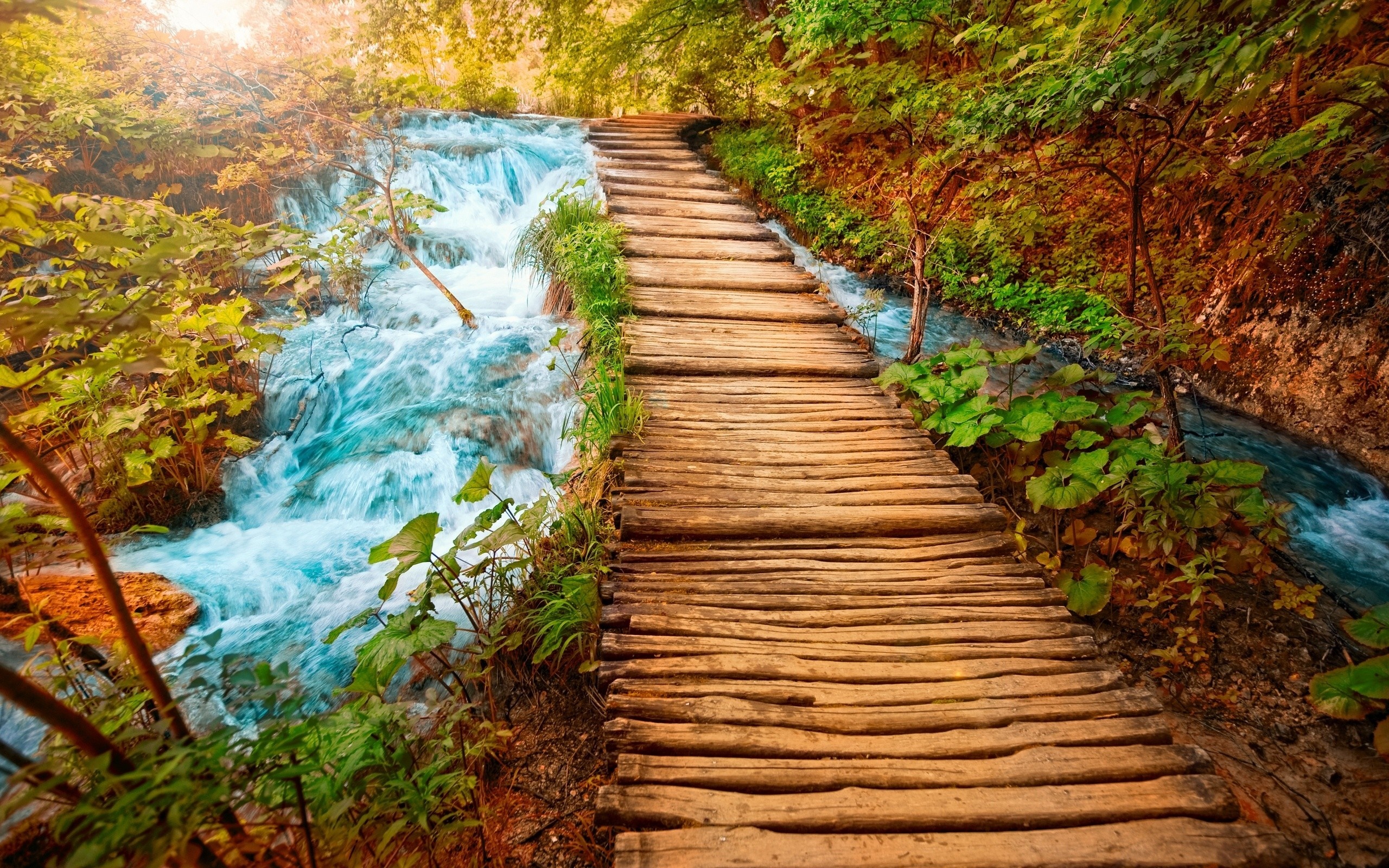 Wooden walkway along a flowing stream in a forest HD Wallpaper