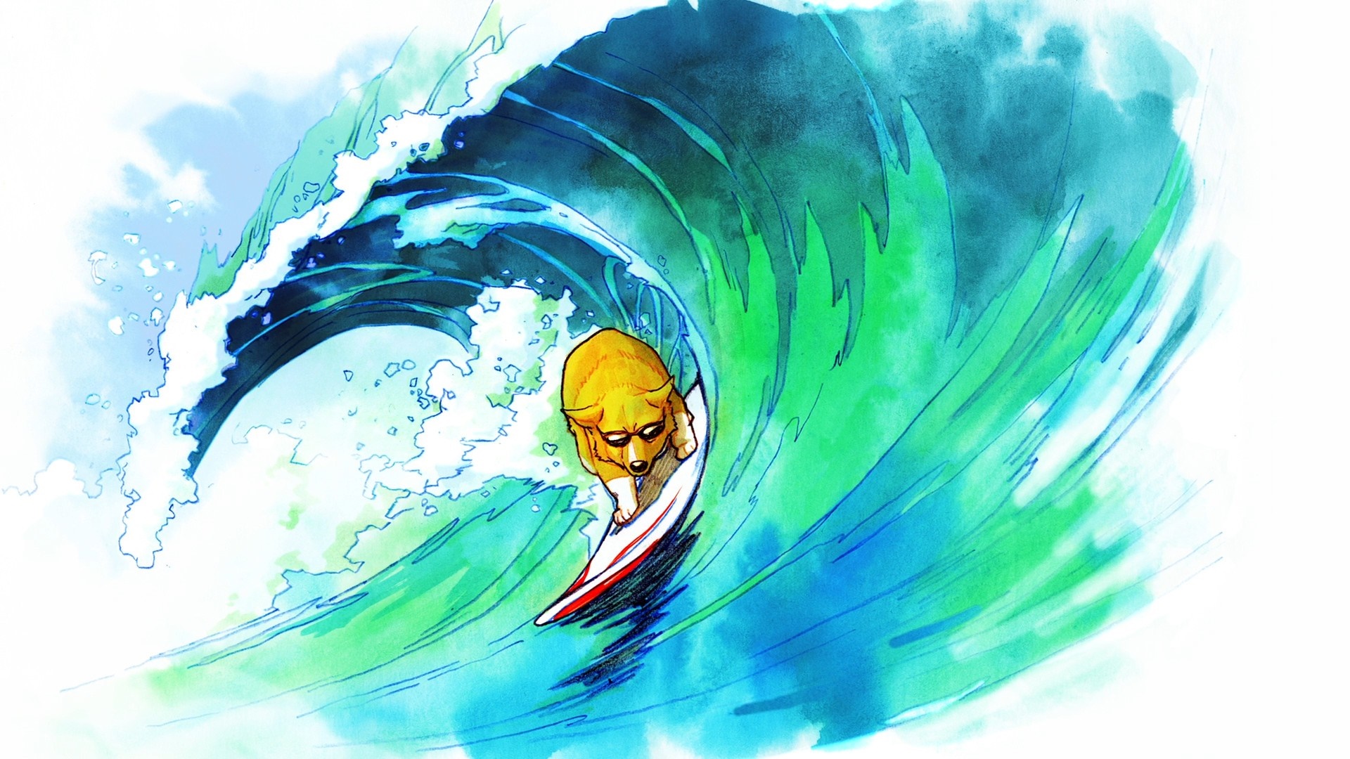 Dog surfing on a wave HD Wallpaper