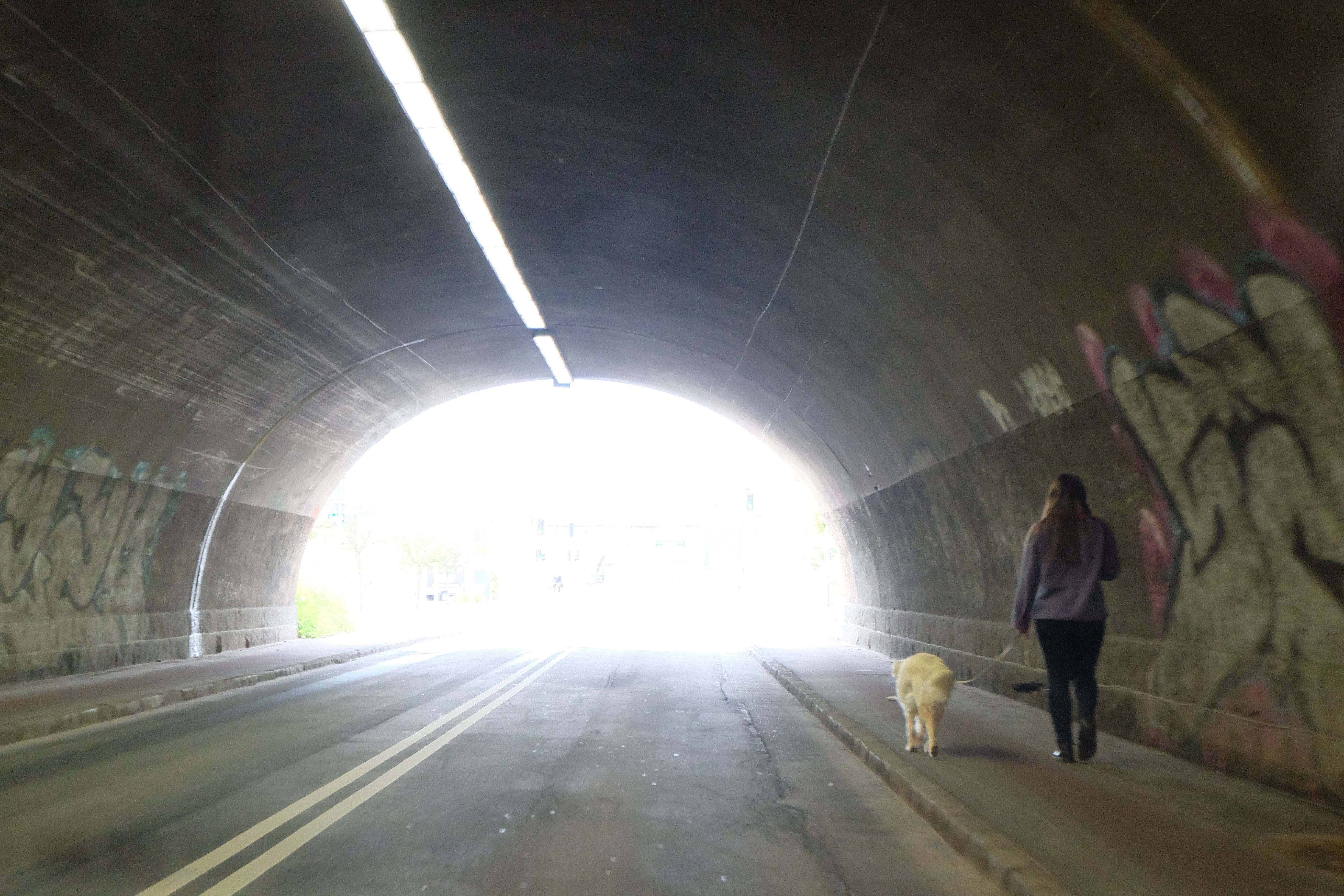Woman walking a dog in a graffiti-covered tunnel HD Wallpaper