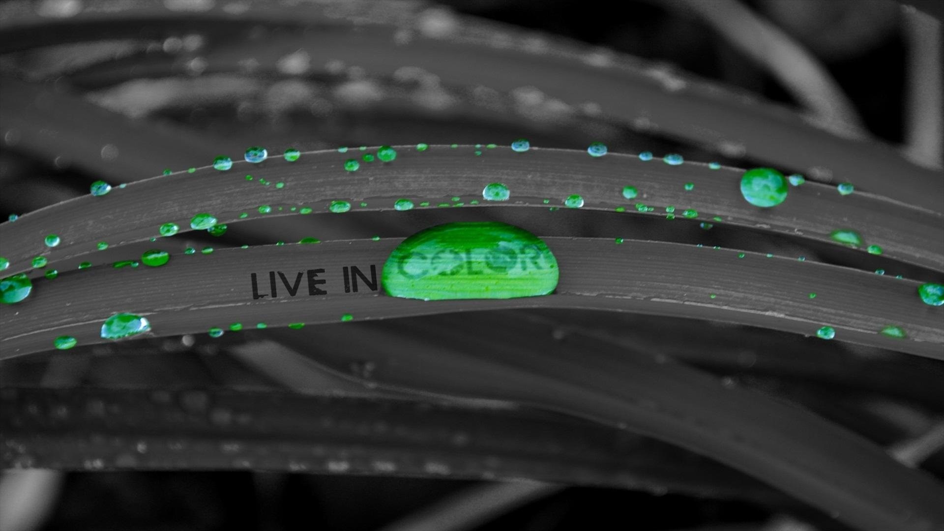 Selective coloring of water drops on grass with text HD Wallpaper