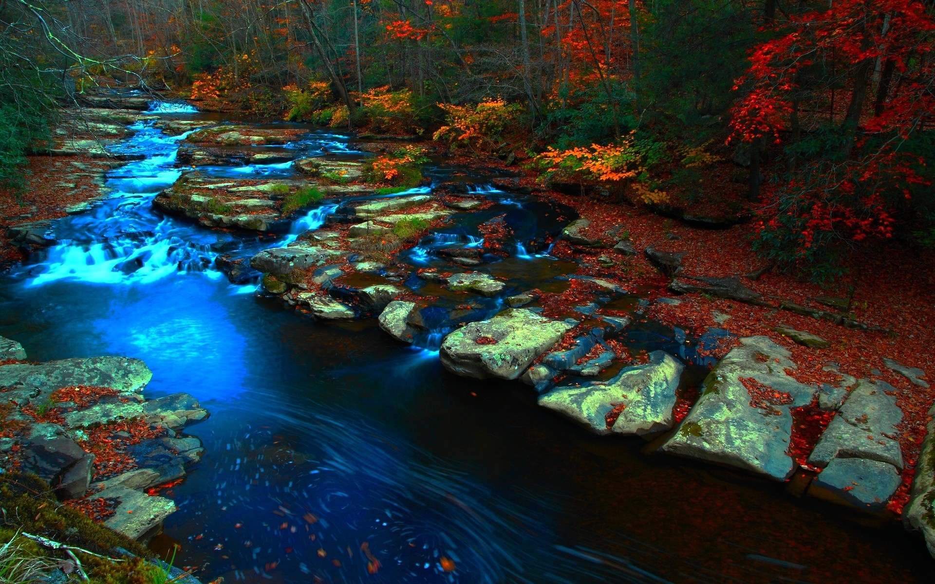 Autumn stream flowing over rocks in a forest HD Wallpaper