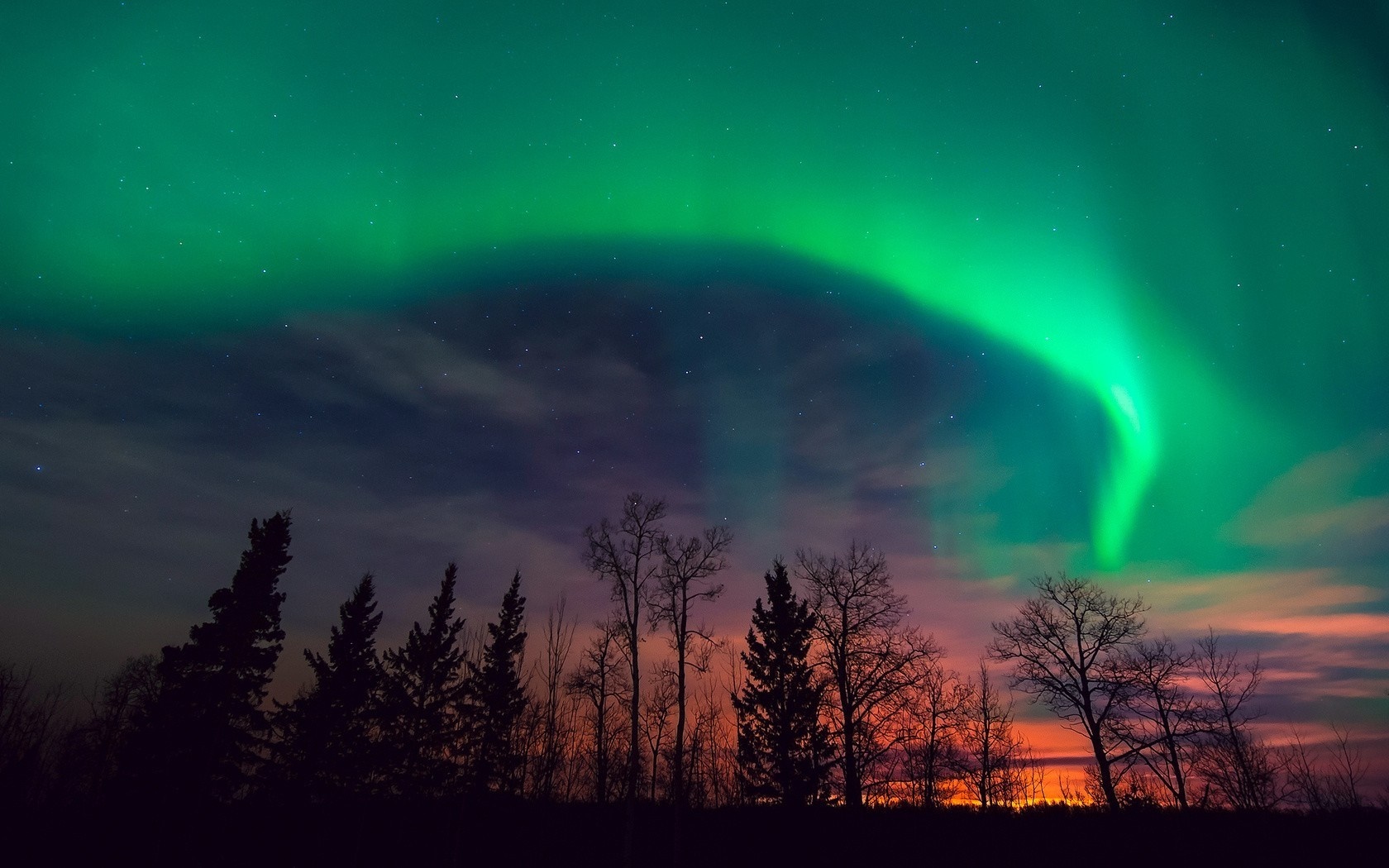 Aurora Borealis over silhouetted trees HD Wallpaper