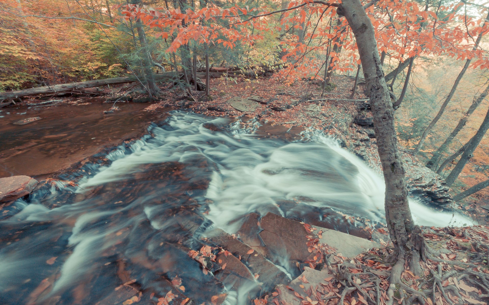 Waterfall in an autumn forest with fallen leaves HD Wallpaper