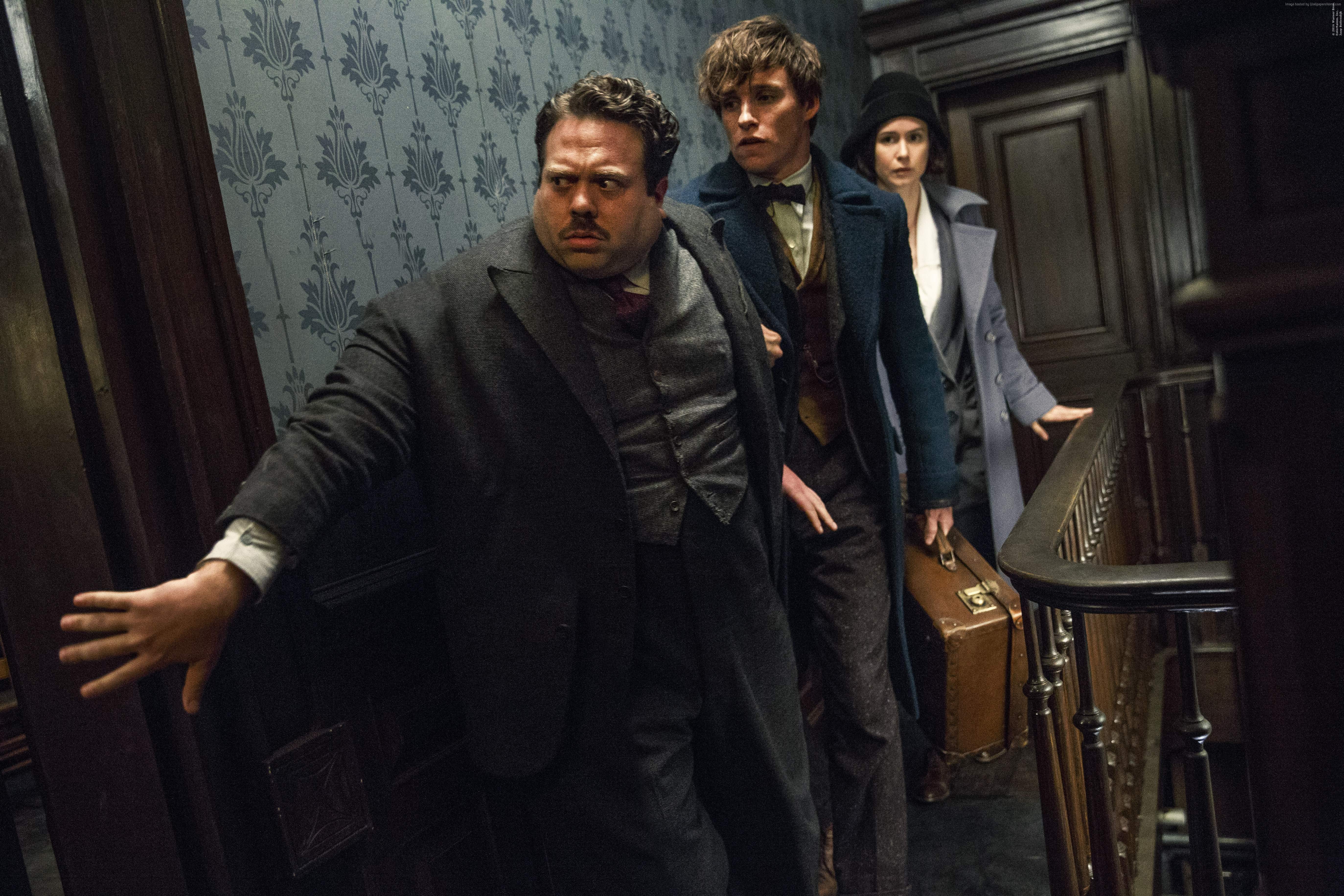 Newt Scamander and companions in Fantastic Beasts HD Wallpaper