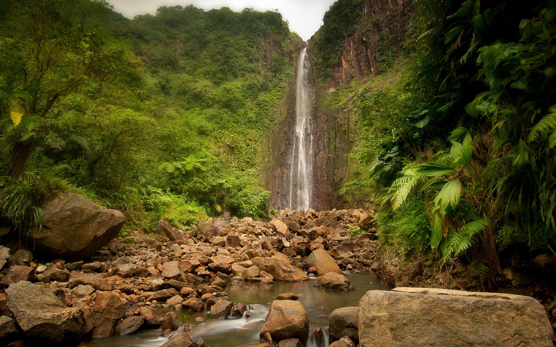Waterfall cascading down a rocky cliff in a dense jungle HD Wallpaper
