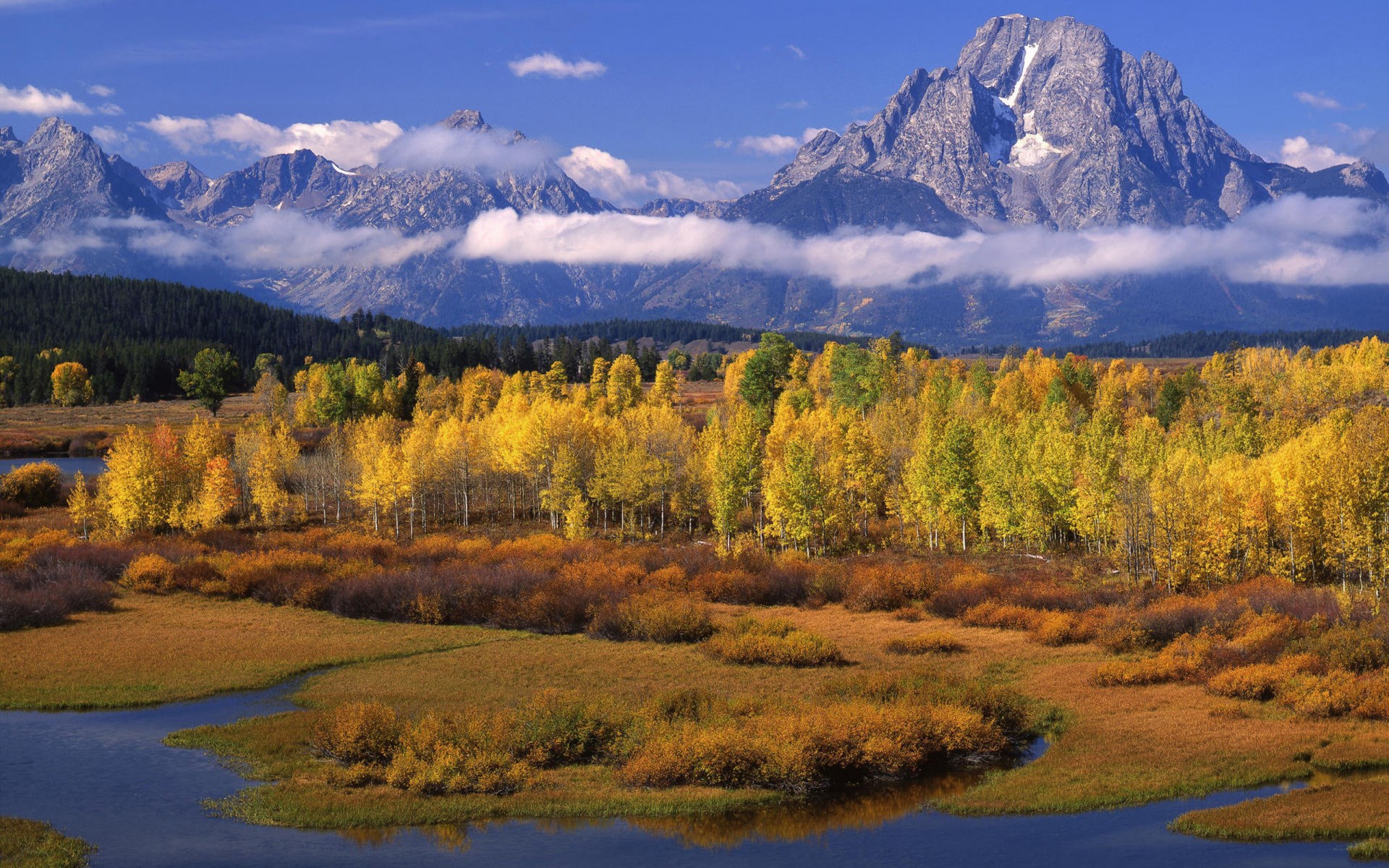 Autumn forest and mountains with river HD Wallpaper