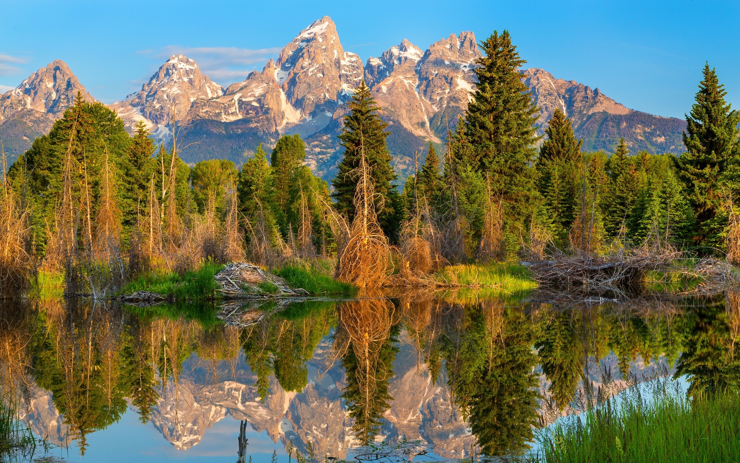 Grand Teton National Park Mountains Reflected in Water HD Wallpaper