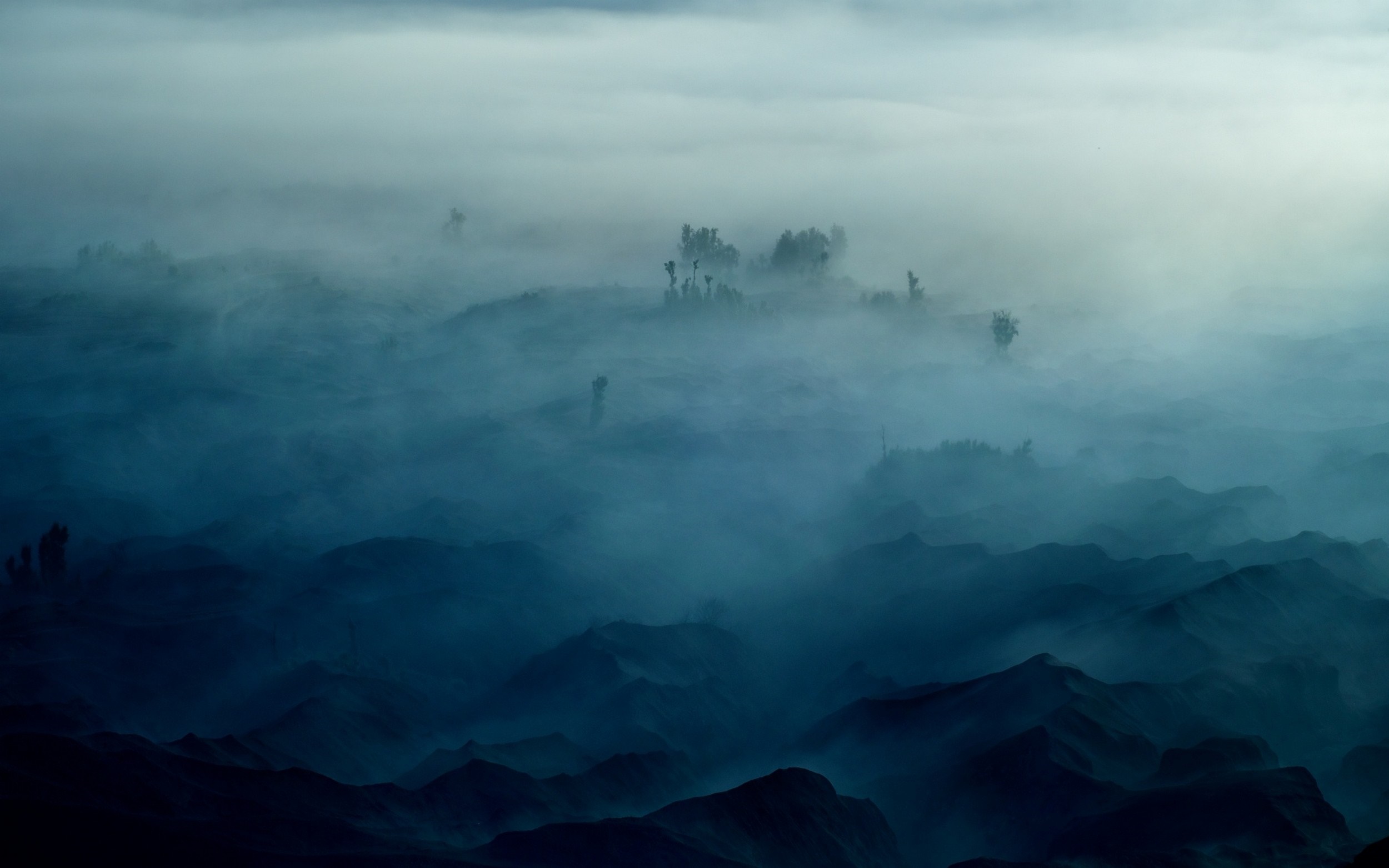 Misty blue landscape with trees and mountains HD Wallpaper