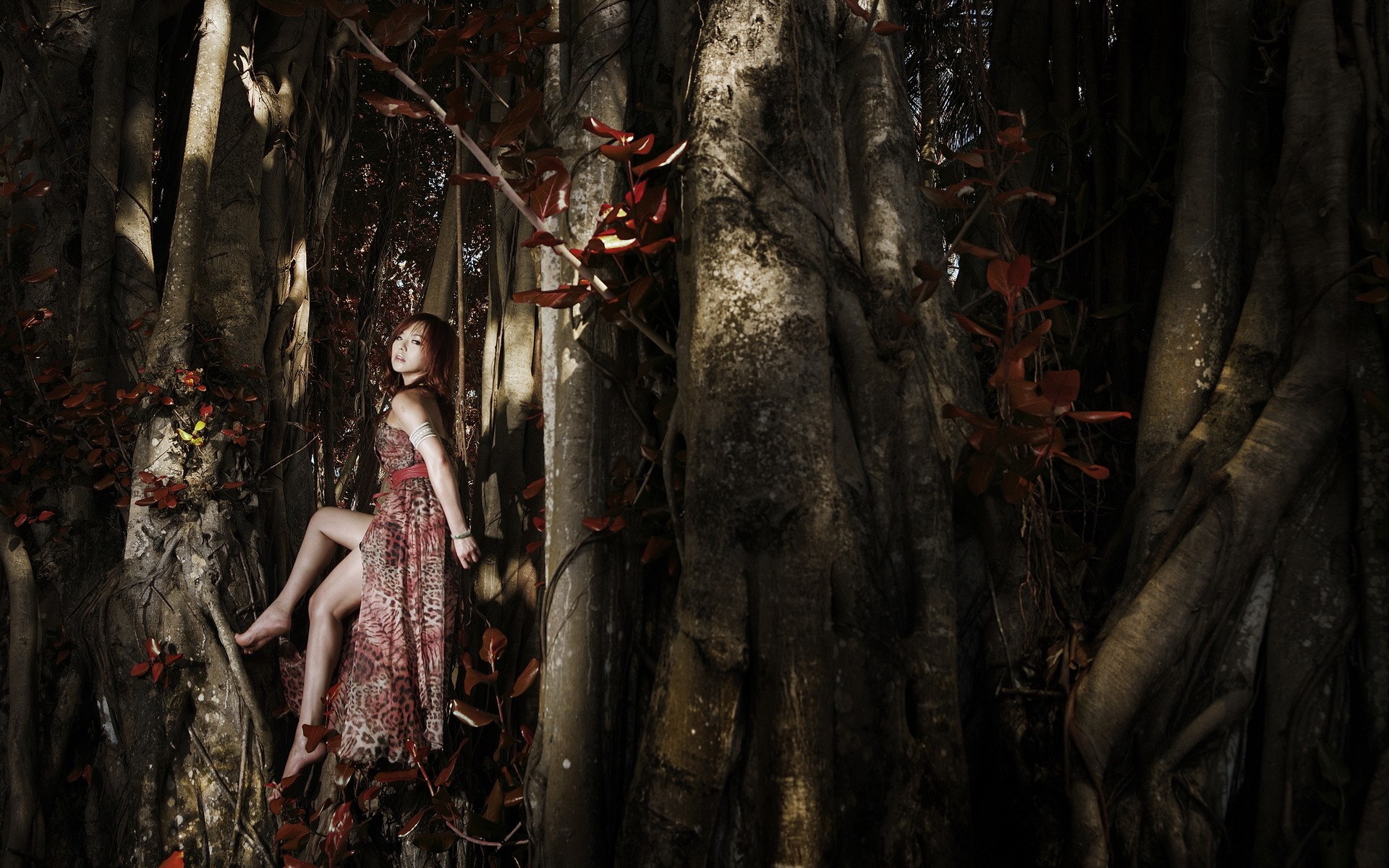 Woman in dress sitting on a tree in a dark forest HD Wallpaper
