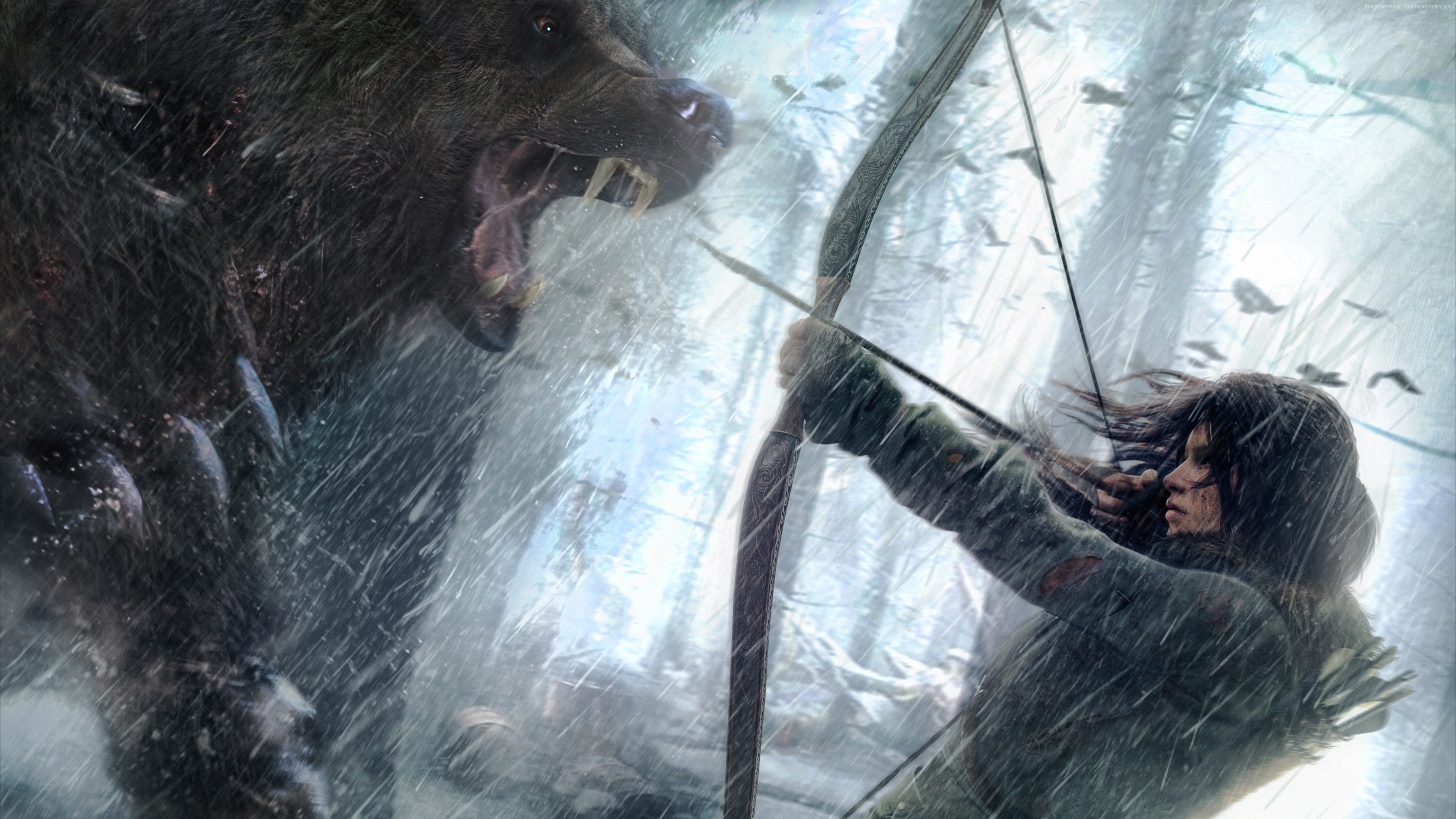 Lara Croft from Rise of the Tomb Raider fighting a bear HD Wallpaper