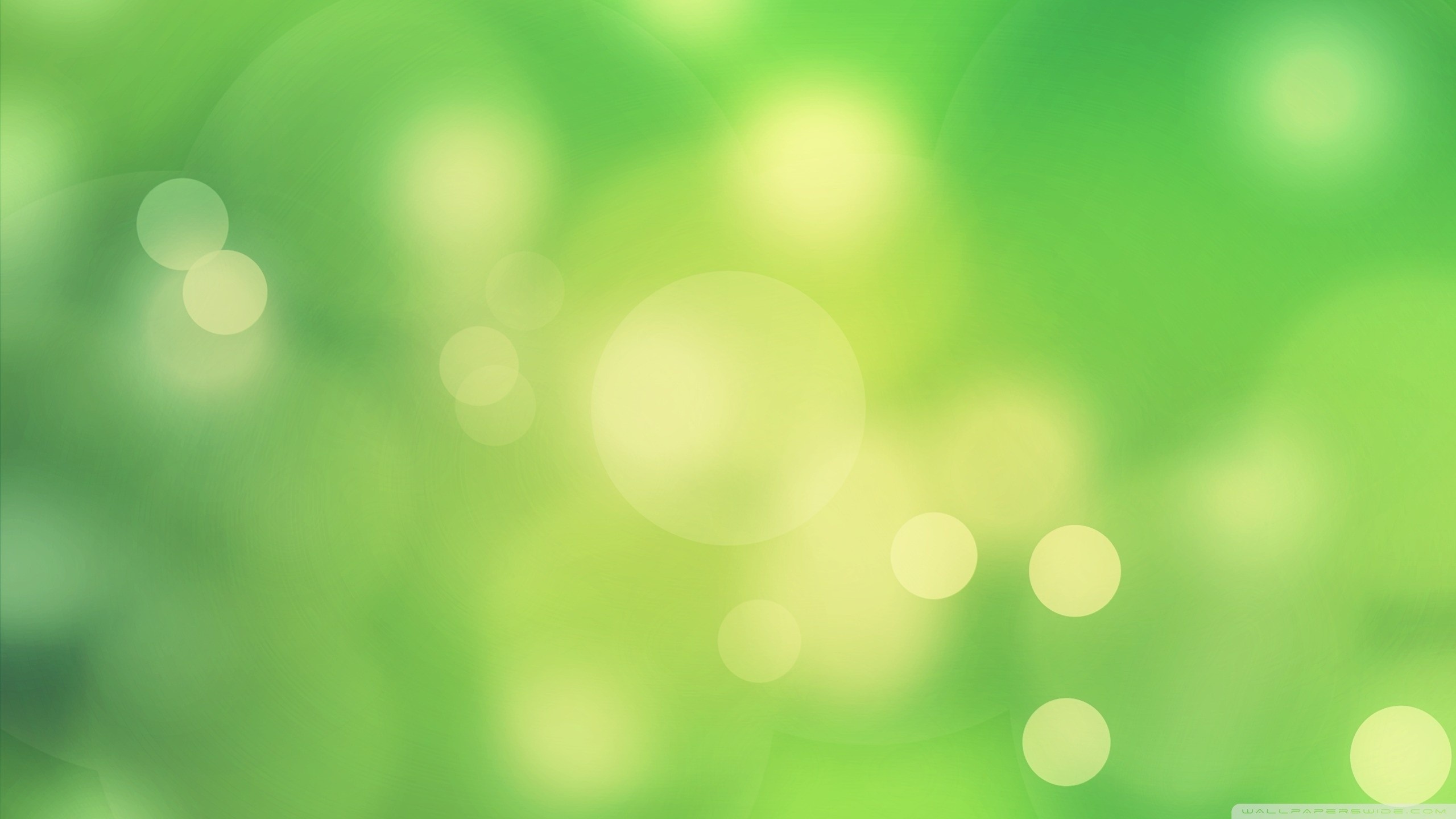 Green abstract background with bokeh lights HD Wallpaper