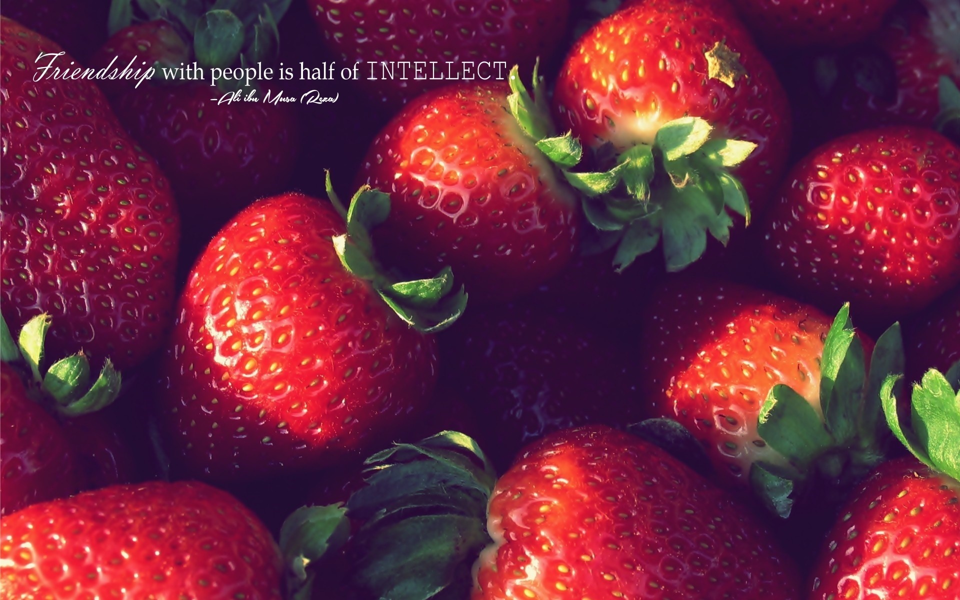 Friendship is half of intellect quote with strawberries HD Wallpaper