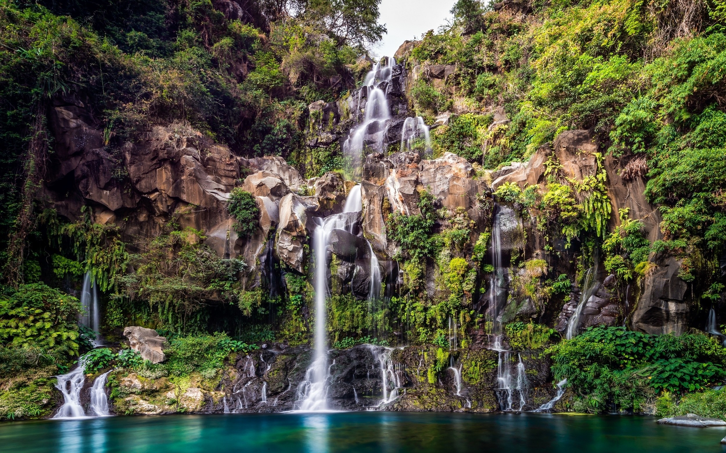 Waterfall cascading down a rocky cliff in a lush rainforest HD Wallpaper