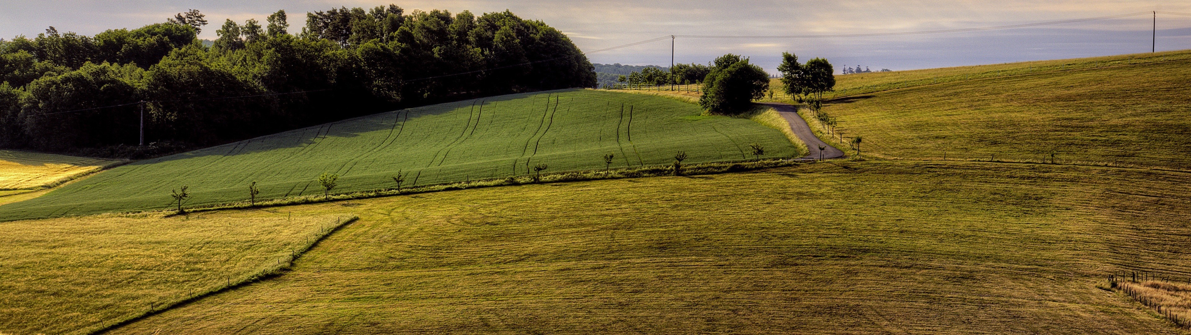 Panoramic view of rolling green hills and trees HD Wallpaper