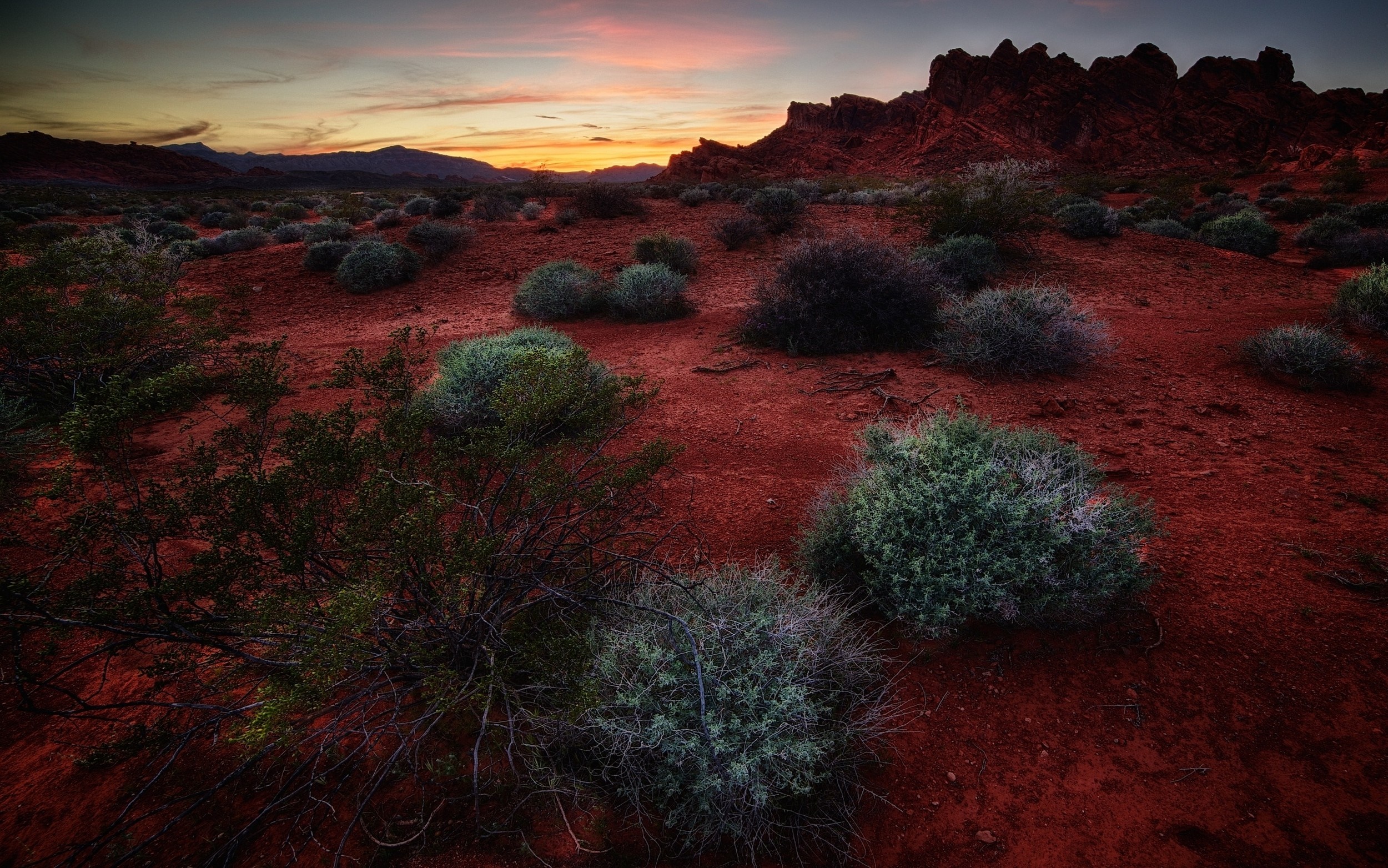 Desert landscape at sunset with red rocks and shrubs HD Wallpaper