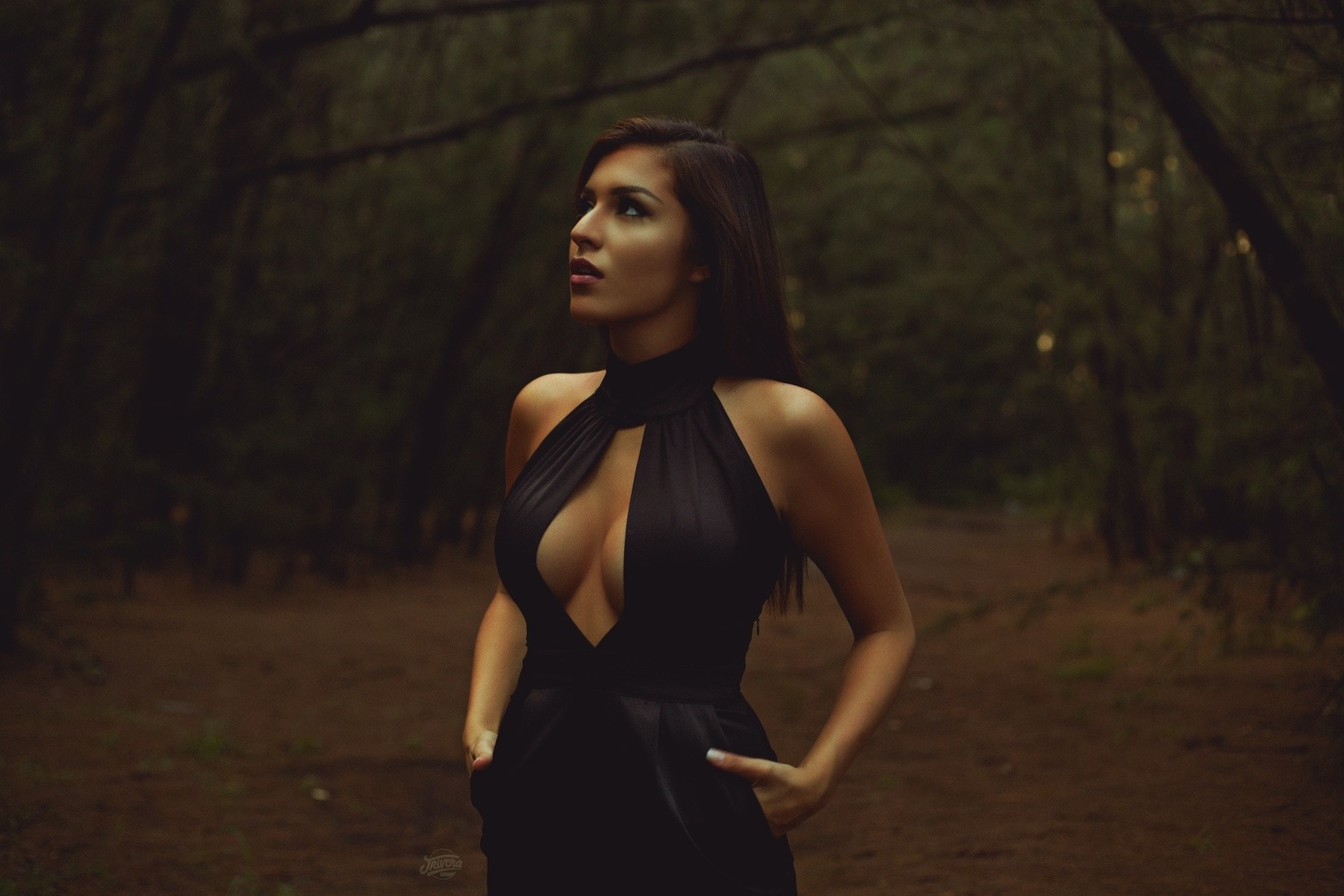Woman in black dress in a dark forest HD Wallpaper