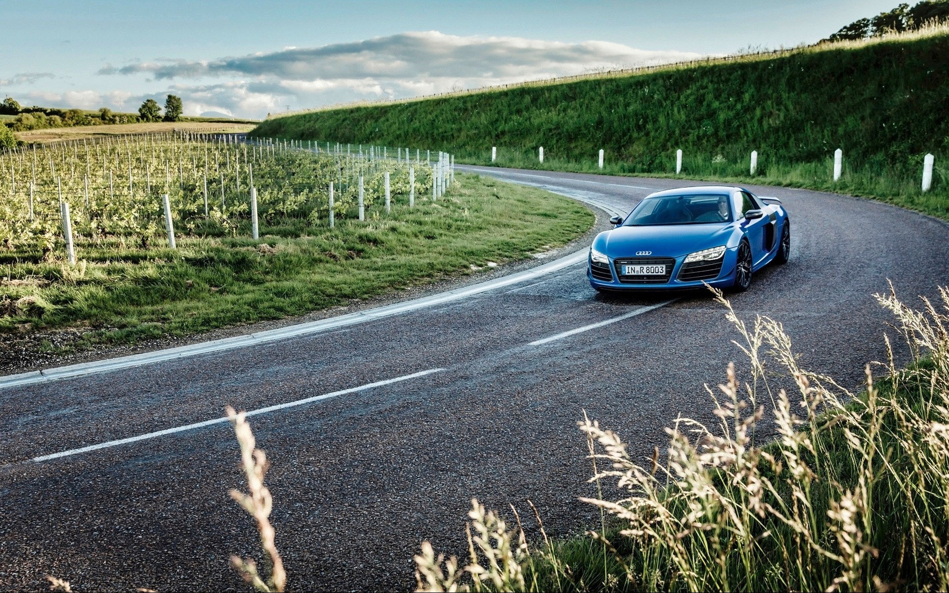 Blue Audi R8 driving on a winding road through a vineyard HD Wallpaper