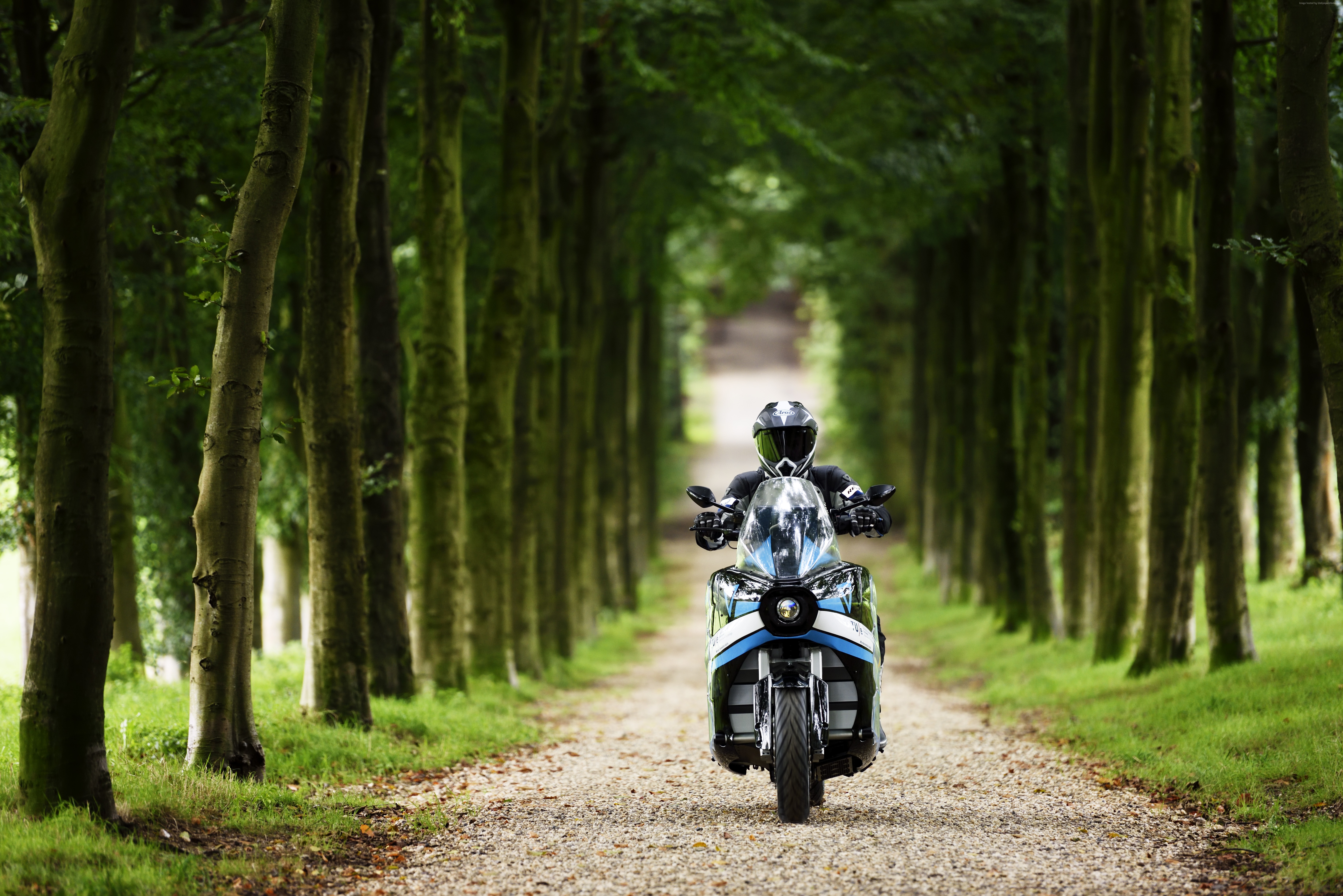 Electric motorcycle on a tree-lined path HD Wallpaper