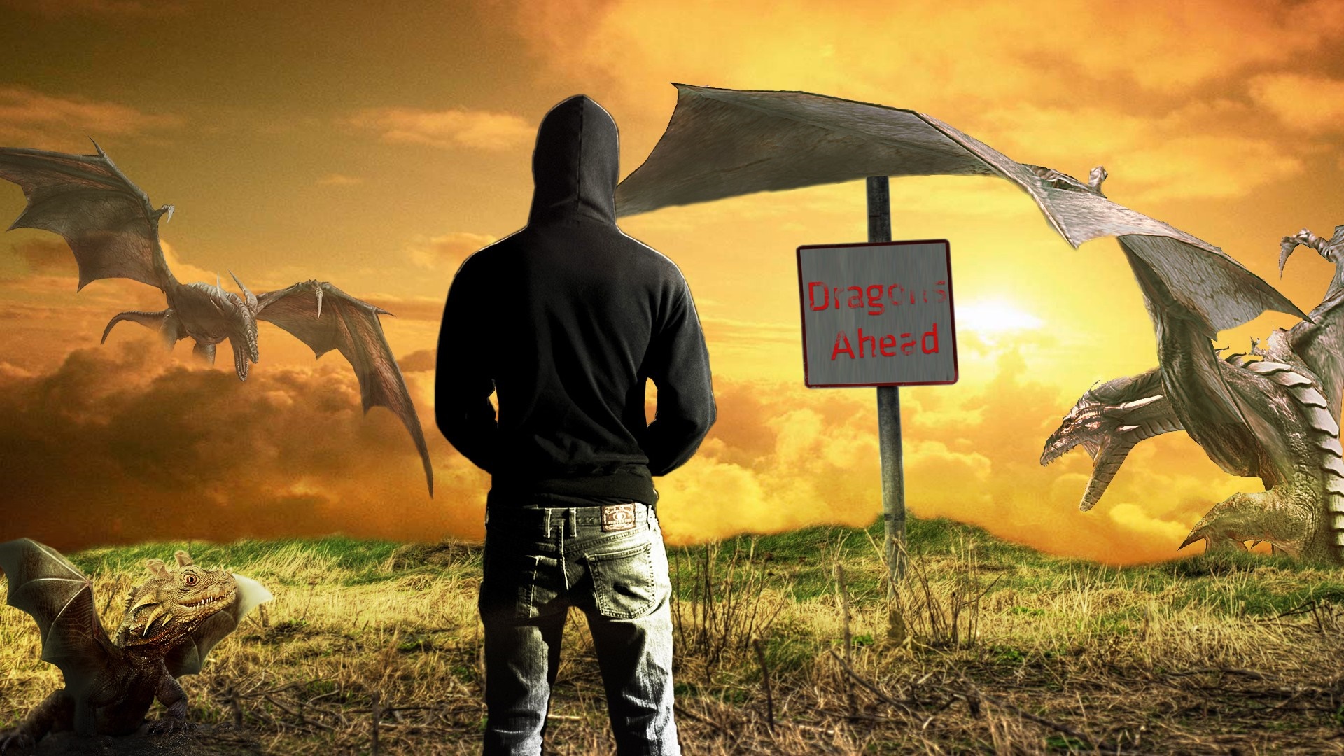 Person facing dragons with 'Dragons Ahead' sign HD Wallpaper