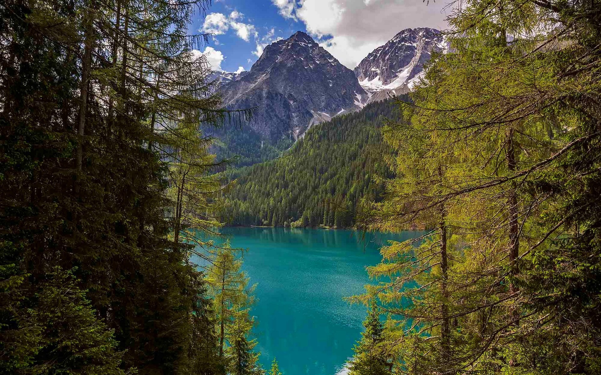 Turquoise lake surrounded by pine forest and mountains HD Wallpaper
