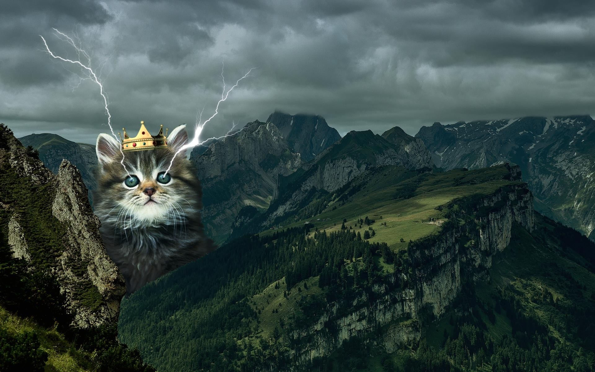 Cat wearing a crown with lightning in mountains HD Wallpaper