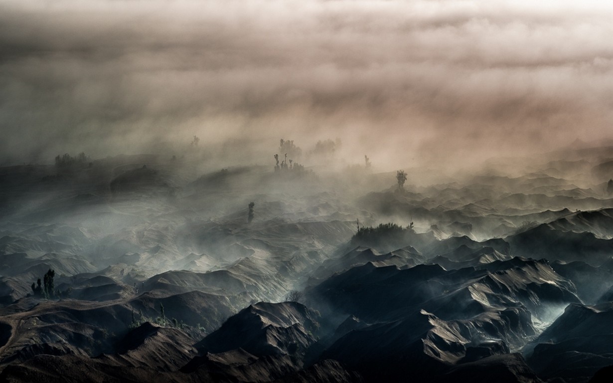 Misty mountain landscape with trees at sunrise HD Wallpaper