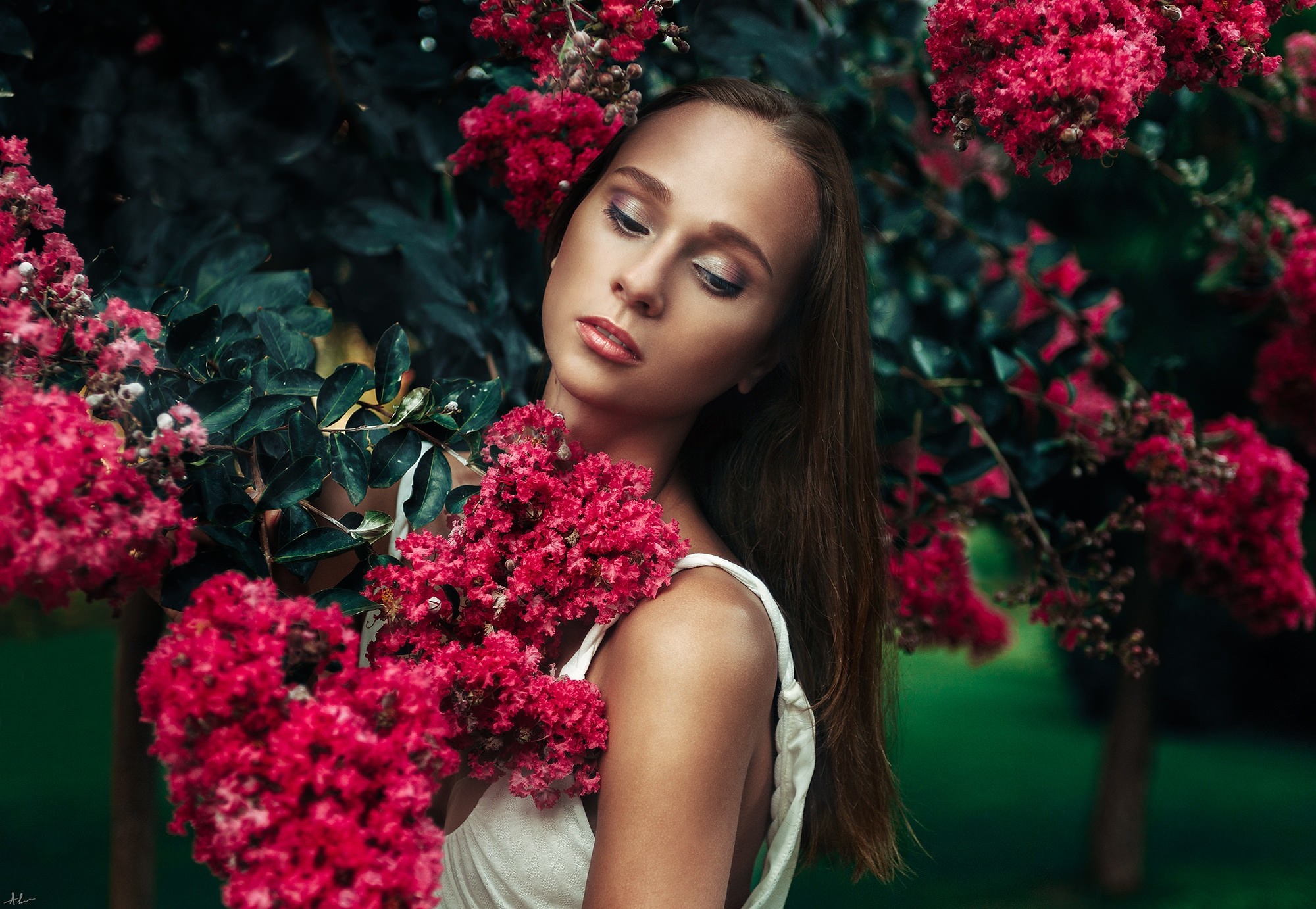 Woman in white dress surrounded by pink flowers HD Wallpaper