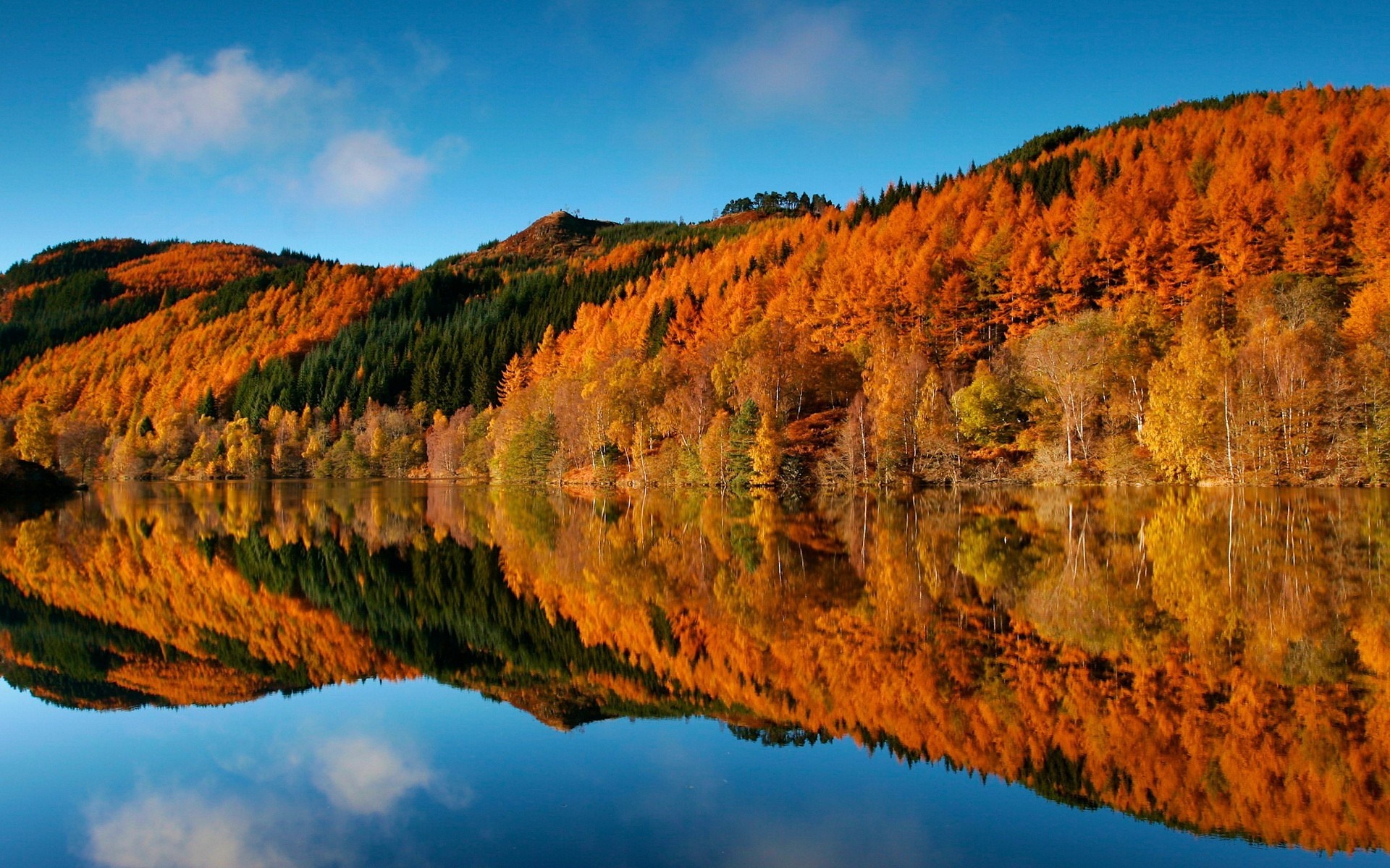 Autumn forest reflected in a calm lake under a blue sky HD Wallpaper