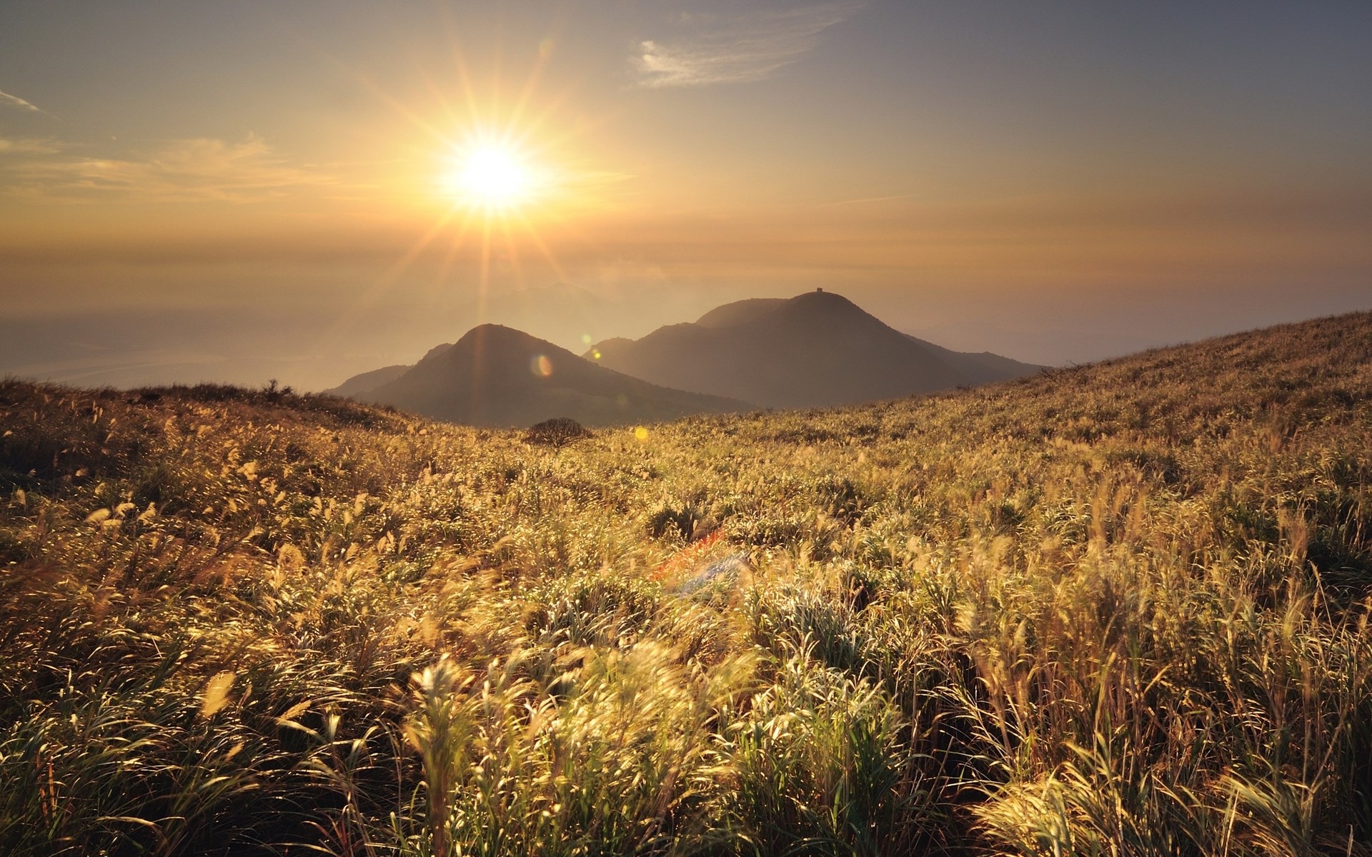 Golden sunset over a grassy mountain landscape HD Wallpaper