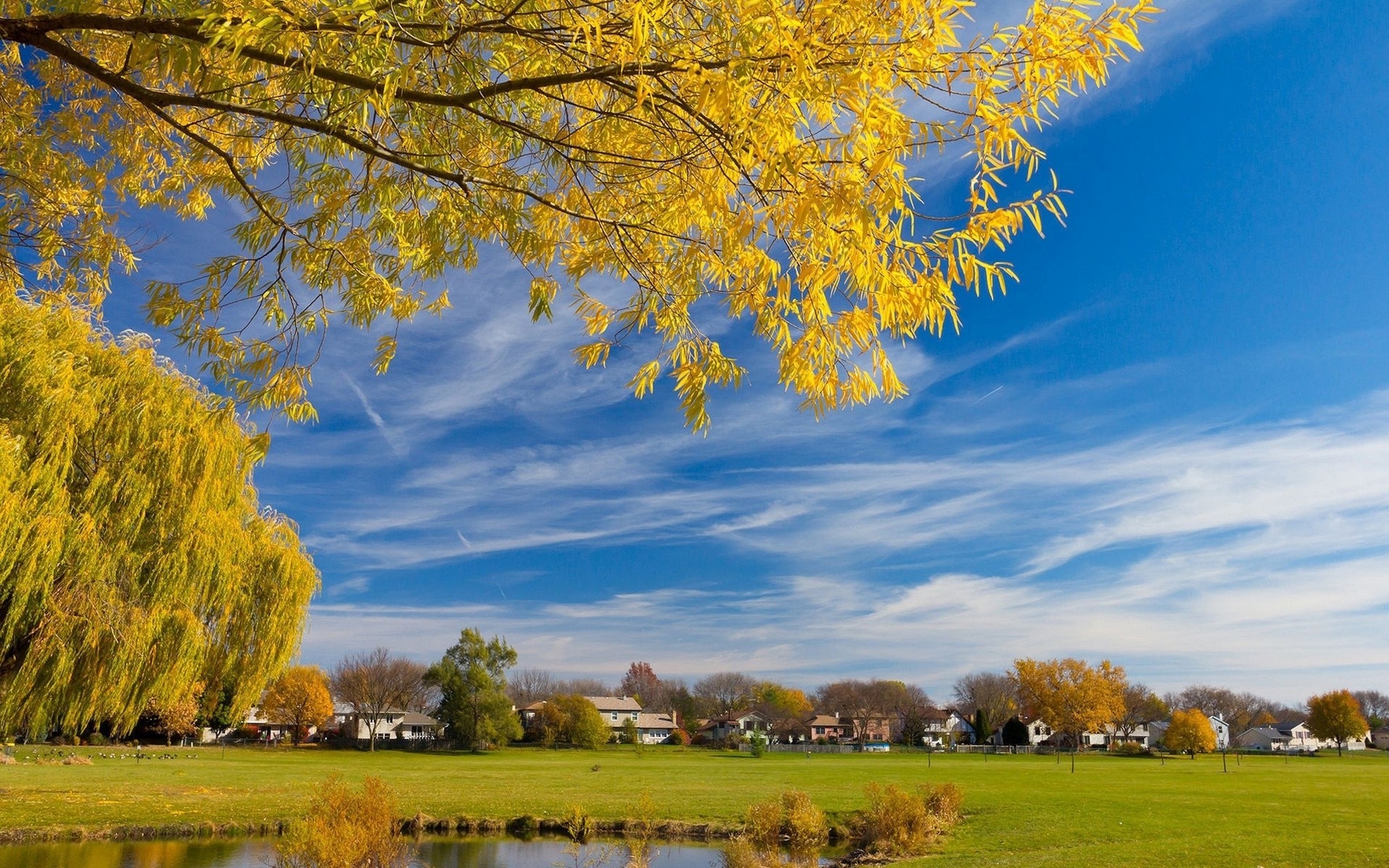 Sunny Autumn Landscape with Trees and Reflection HD Wallpaper