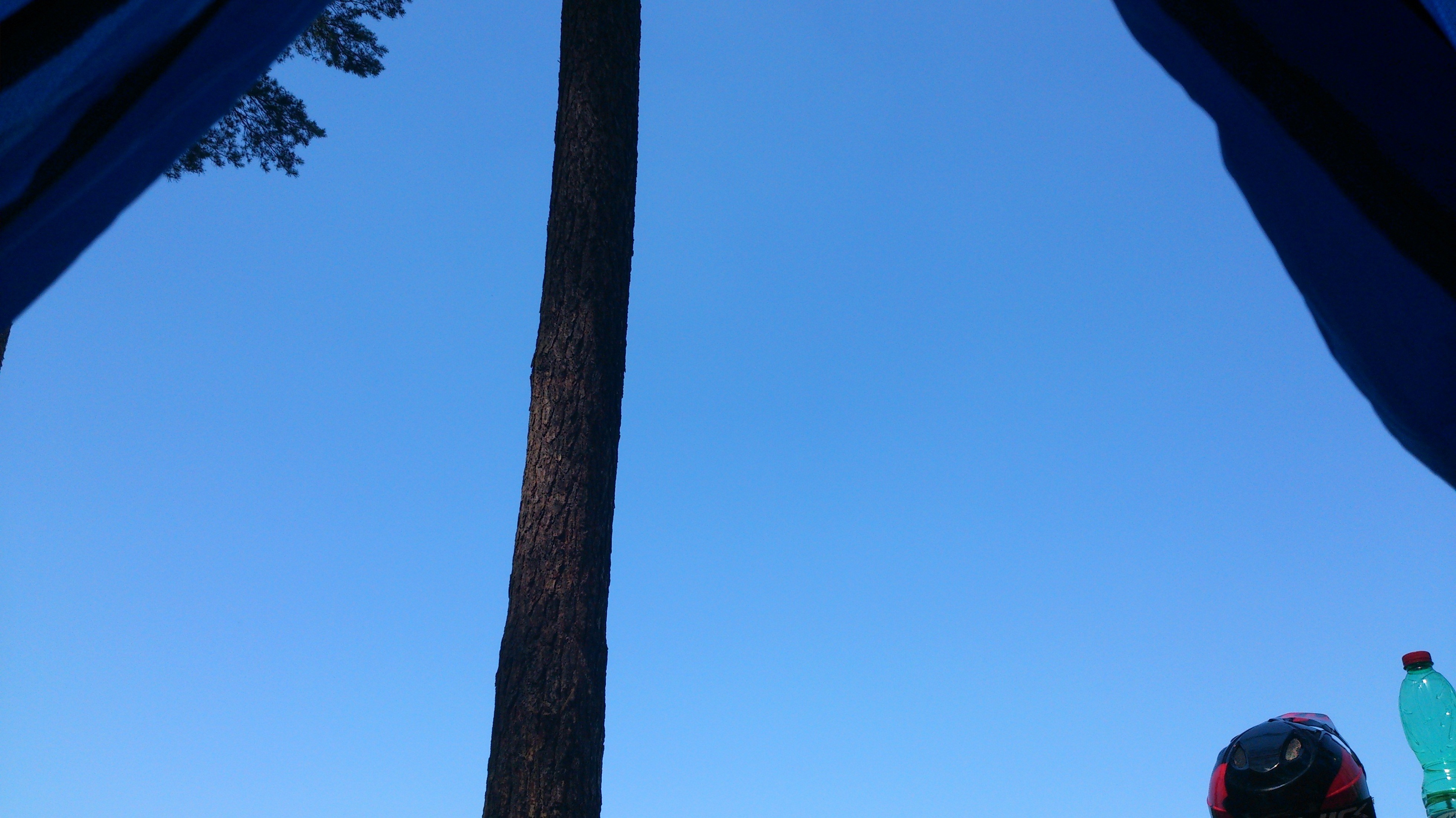 Blue sky with a tree and a helmet HD Wallpaper