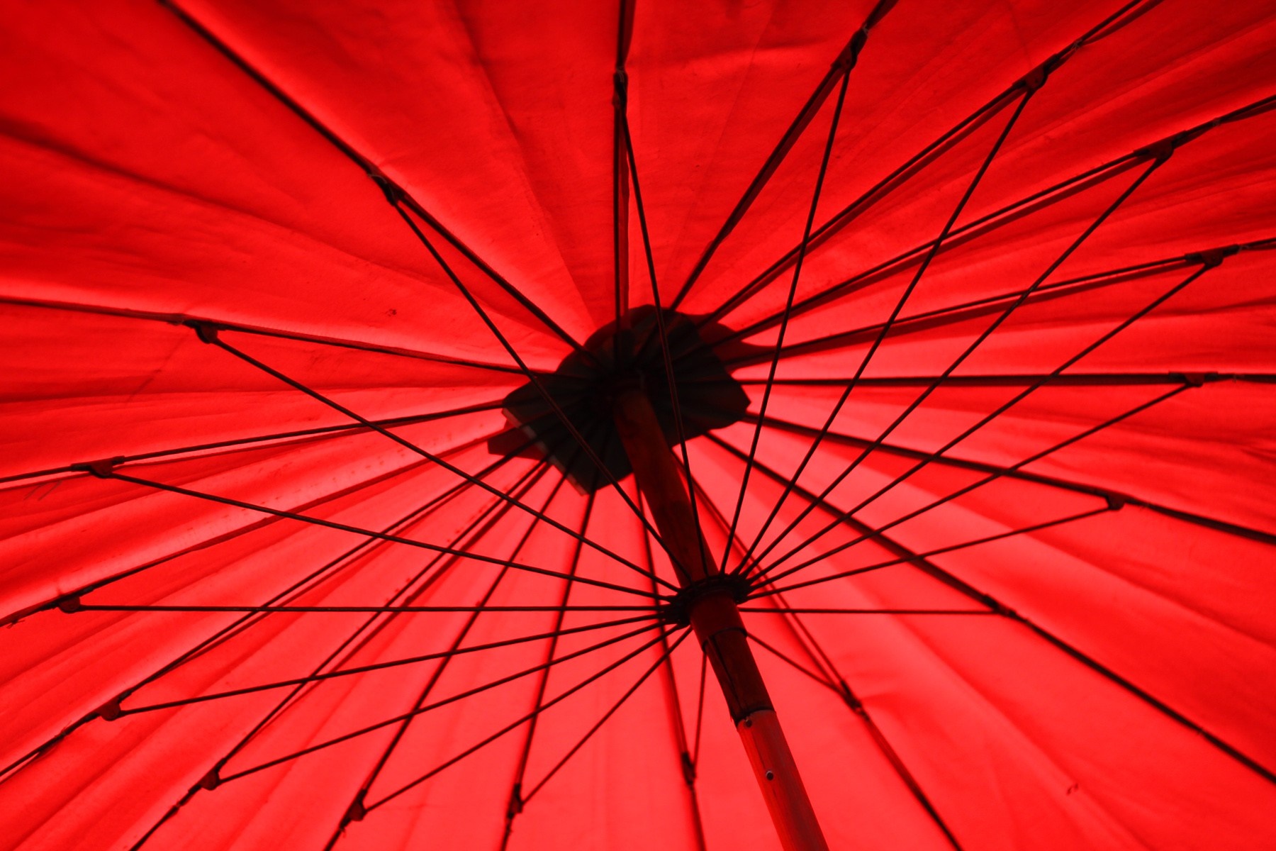 Inside a red umbrella HD Wallpaper