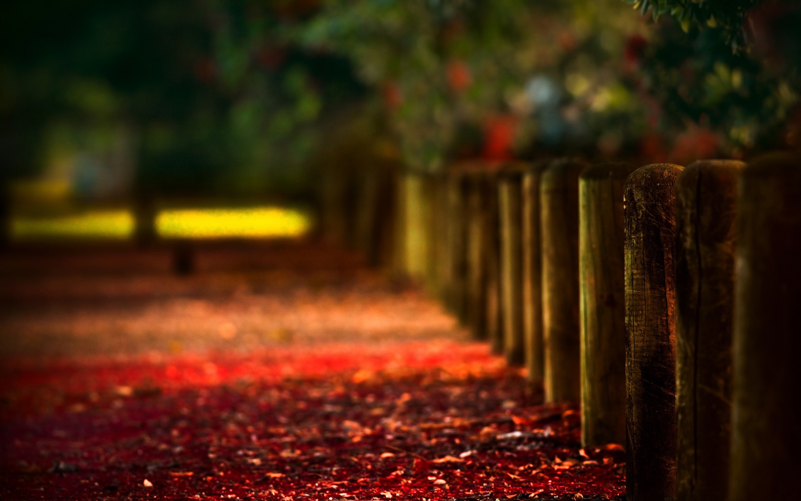 Autumn path with fallen leaves and wooden fence HD Wallpaper