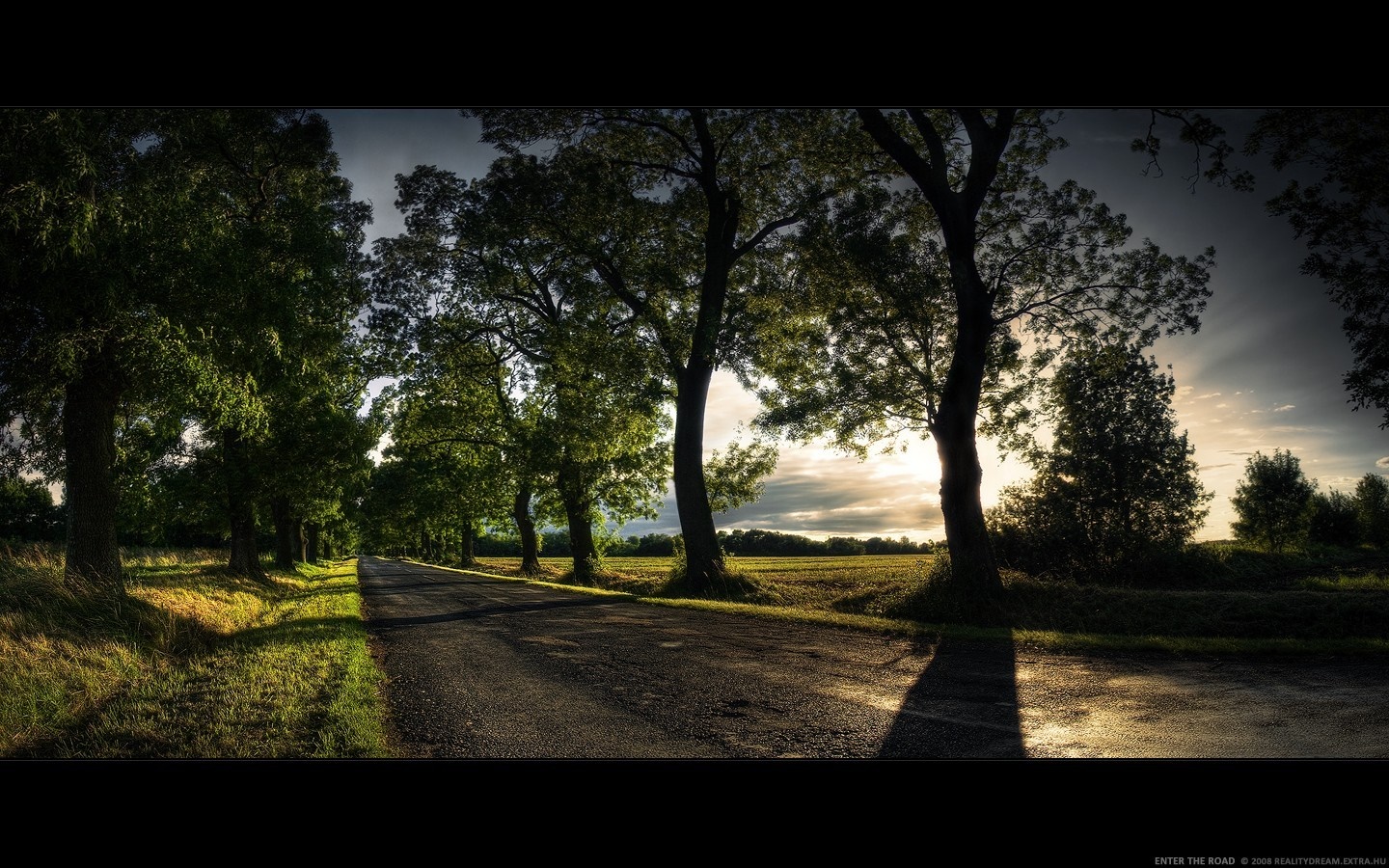 Road lined with trees at sunset HD Wallpaper
