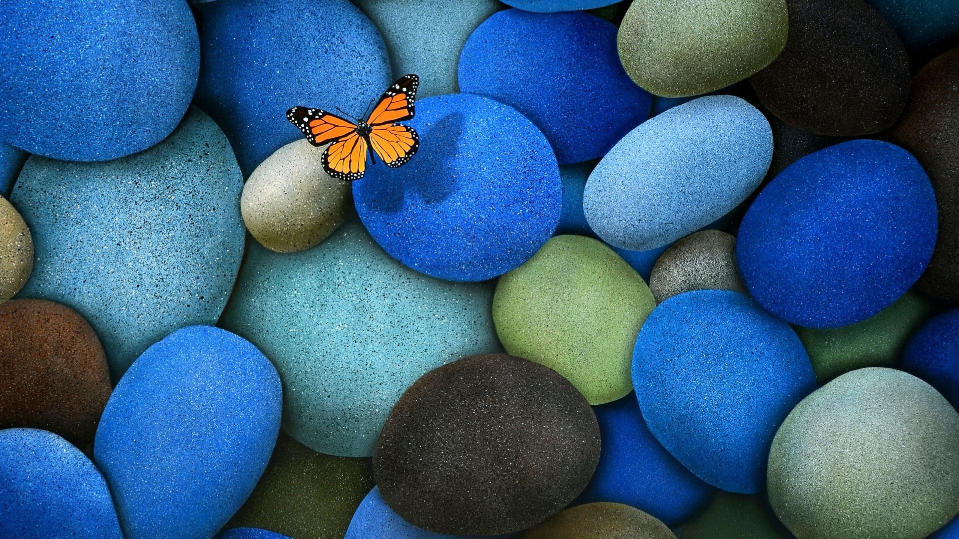 Butterfly on colorful stones HD Wallpaper