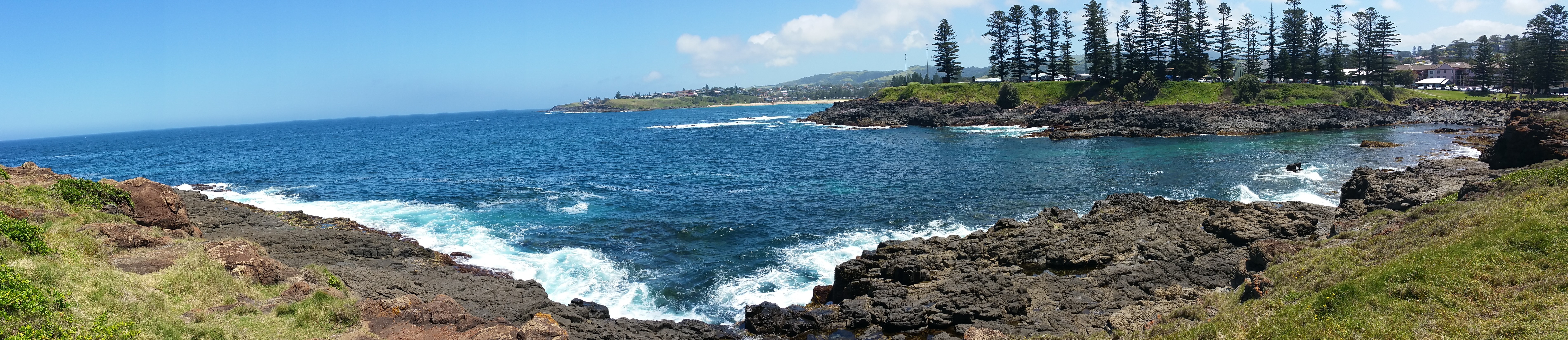 Rocky coastline with blue ocean and trees HD Wallpaper