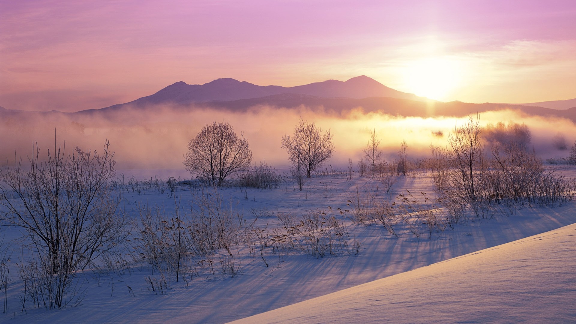 Winter sunrise over misty mountains and snow-covered landscape HD Wallpaper