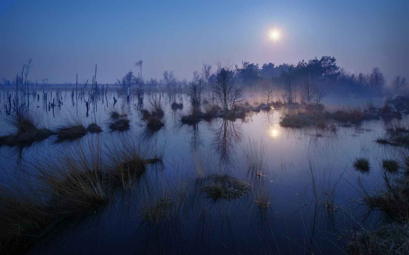 Misty wetland with trees and sun reflection at dawn HD Wallpaper