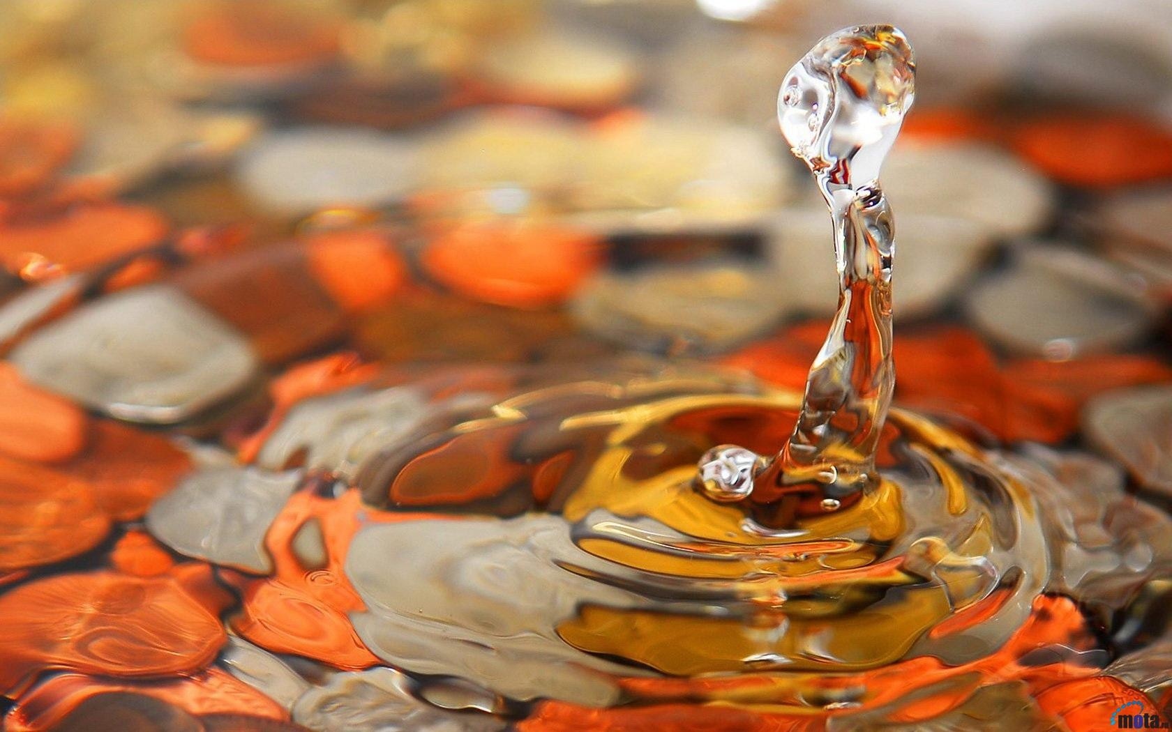 Water drop creating ripples on coins HD Wallpaper