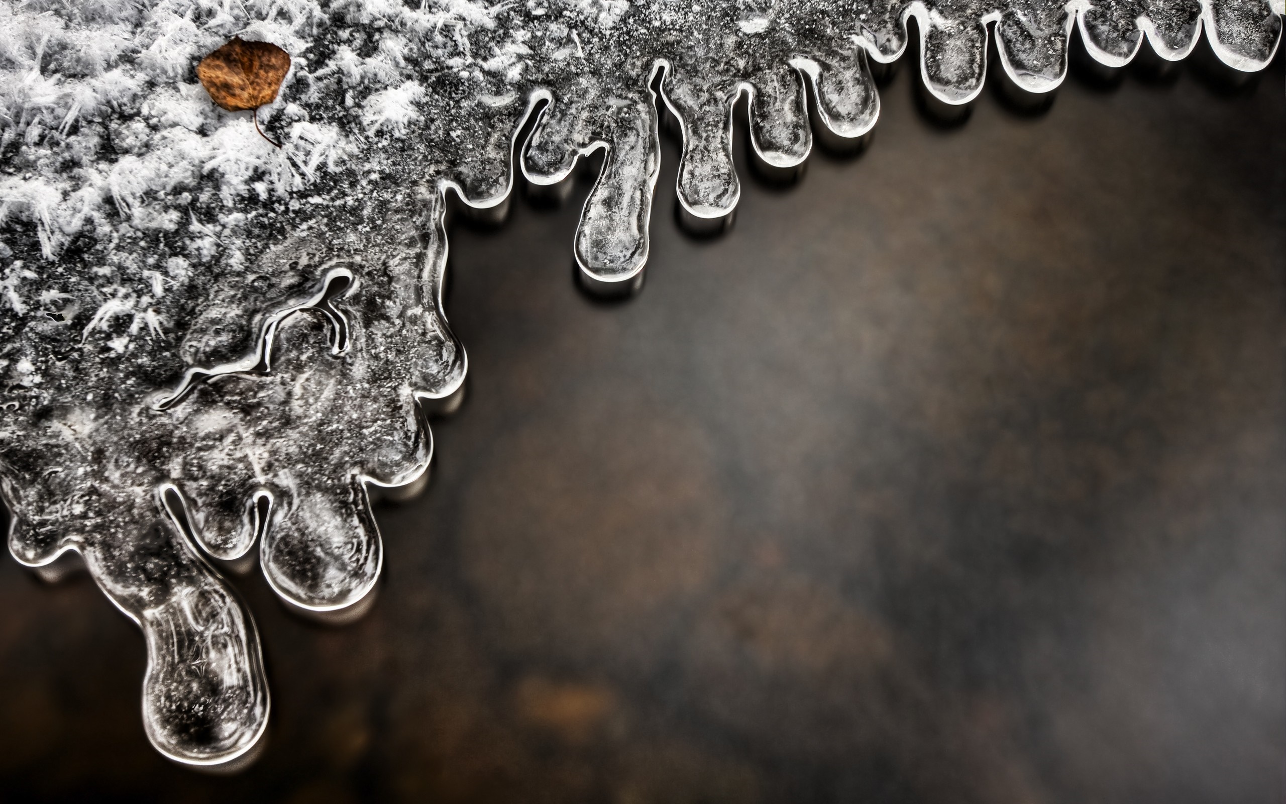 Close-up of ice formations with a leaf HD Wallpaper