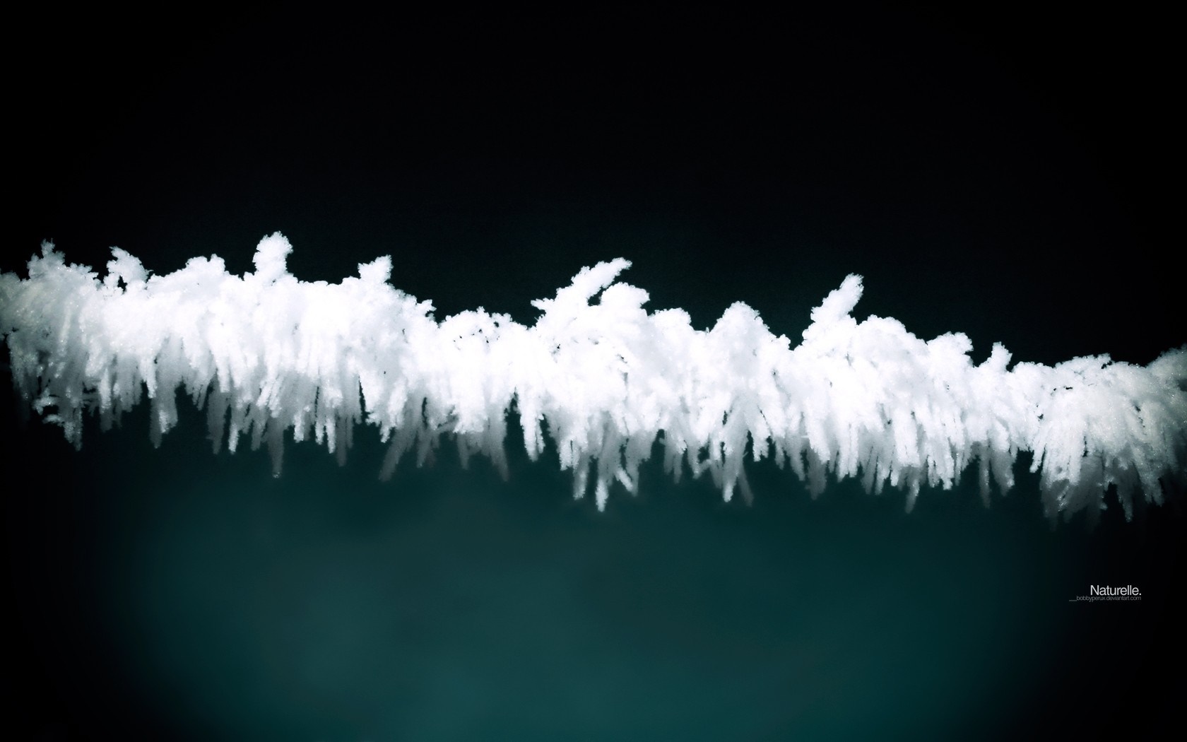 Frost on a wire against a dark background HD Wallpaper