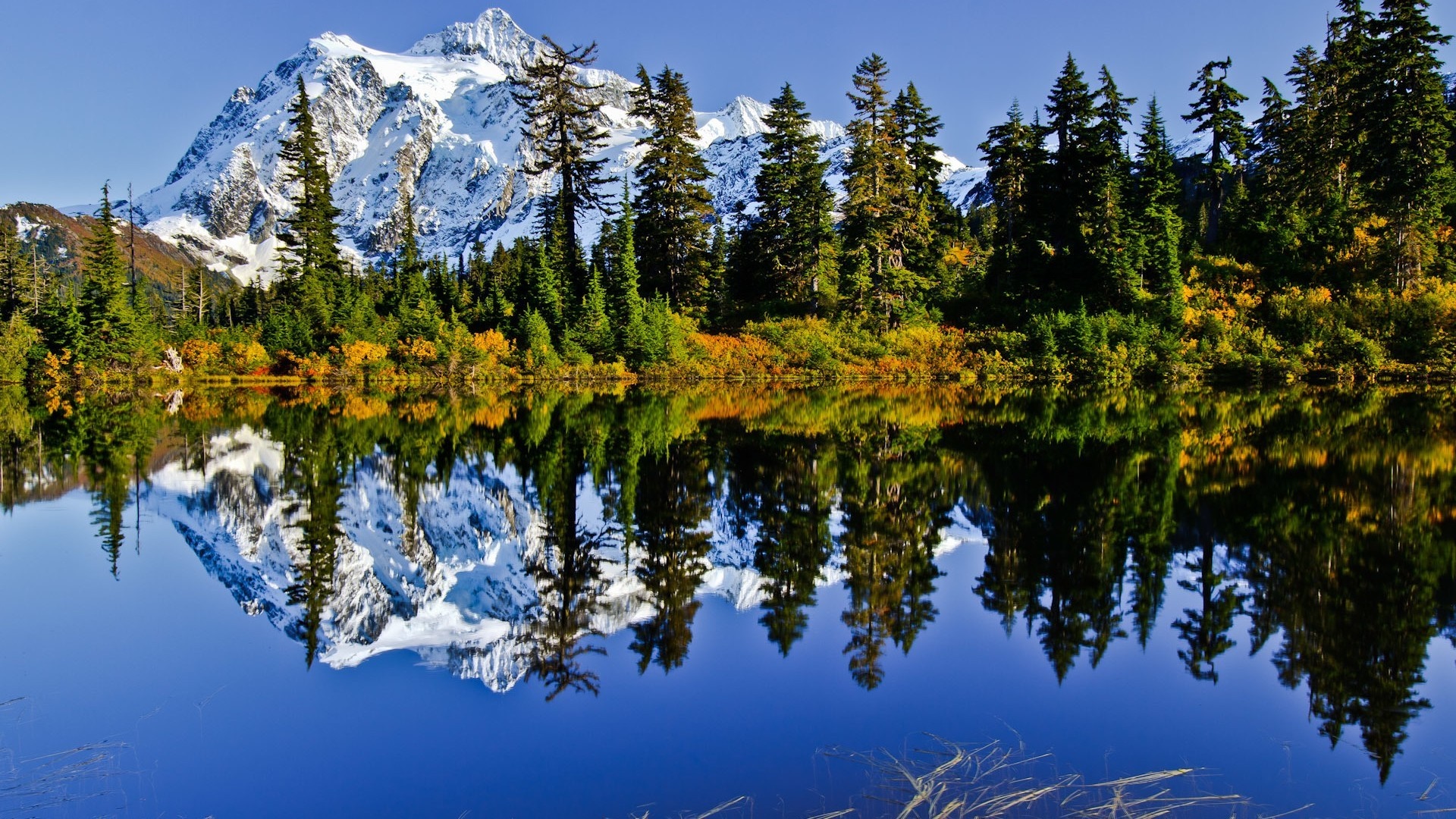 Snowy mountains reflected in a calm lake with evergreen trees HD Wallpaper