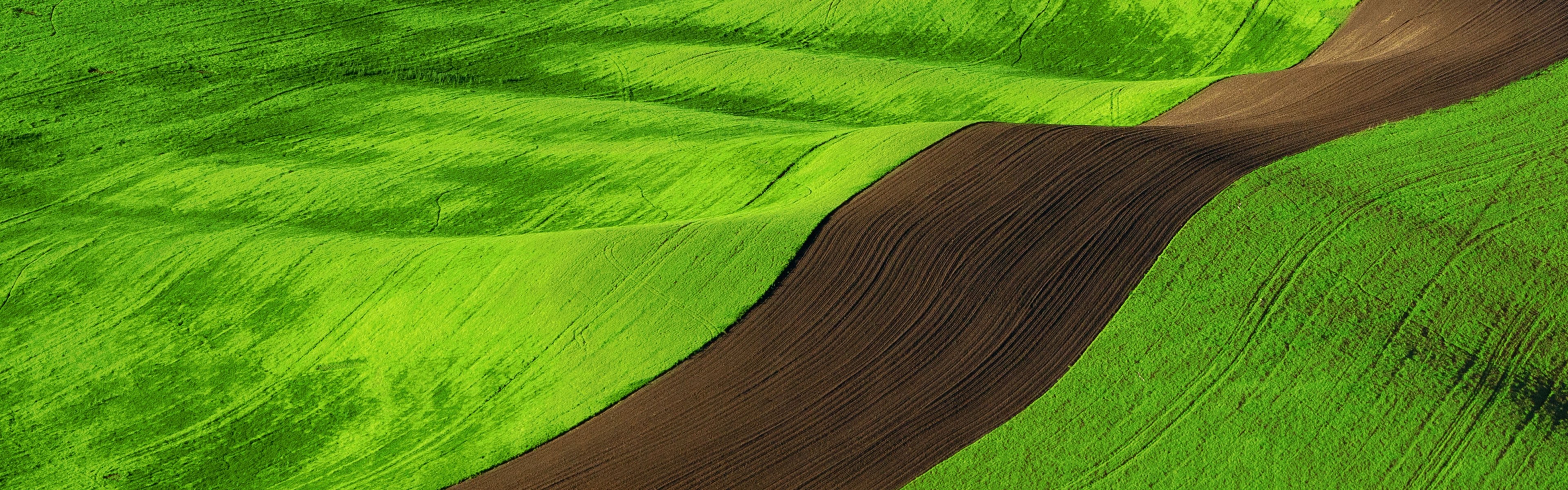 Rolling green and brown agricultural fields HD Wallpaper