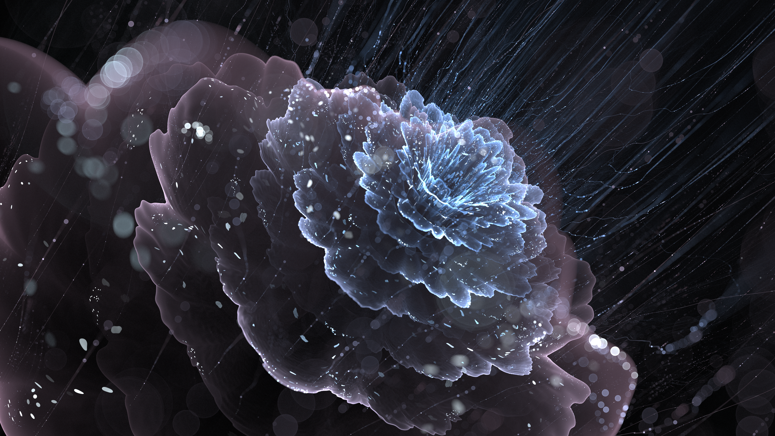 Abstract fractal flower with ice and snow elements HD Wallpaper