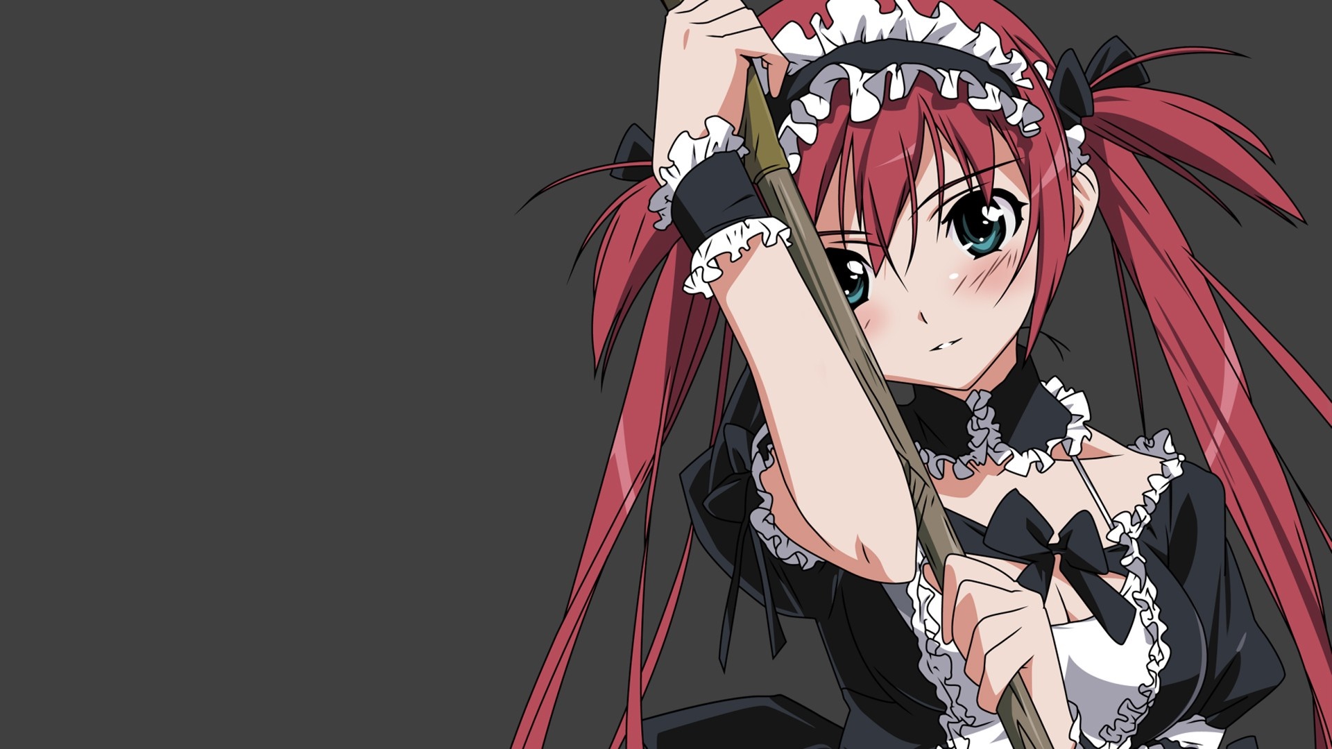 Airi from Queen's Blade illustration HD Wallpaper