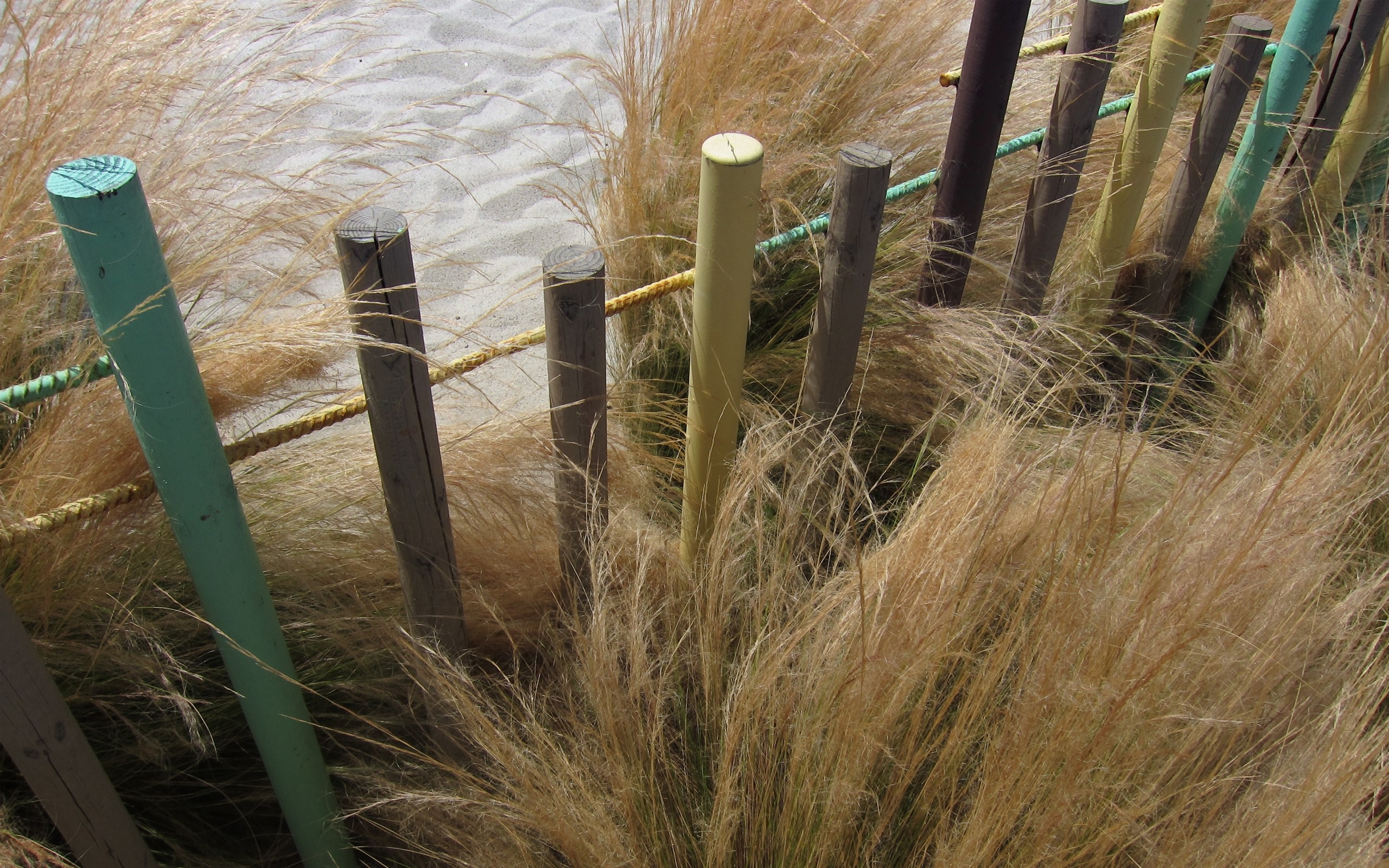 Beach fence with tall grass and sand HD Wallpaper